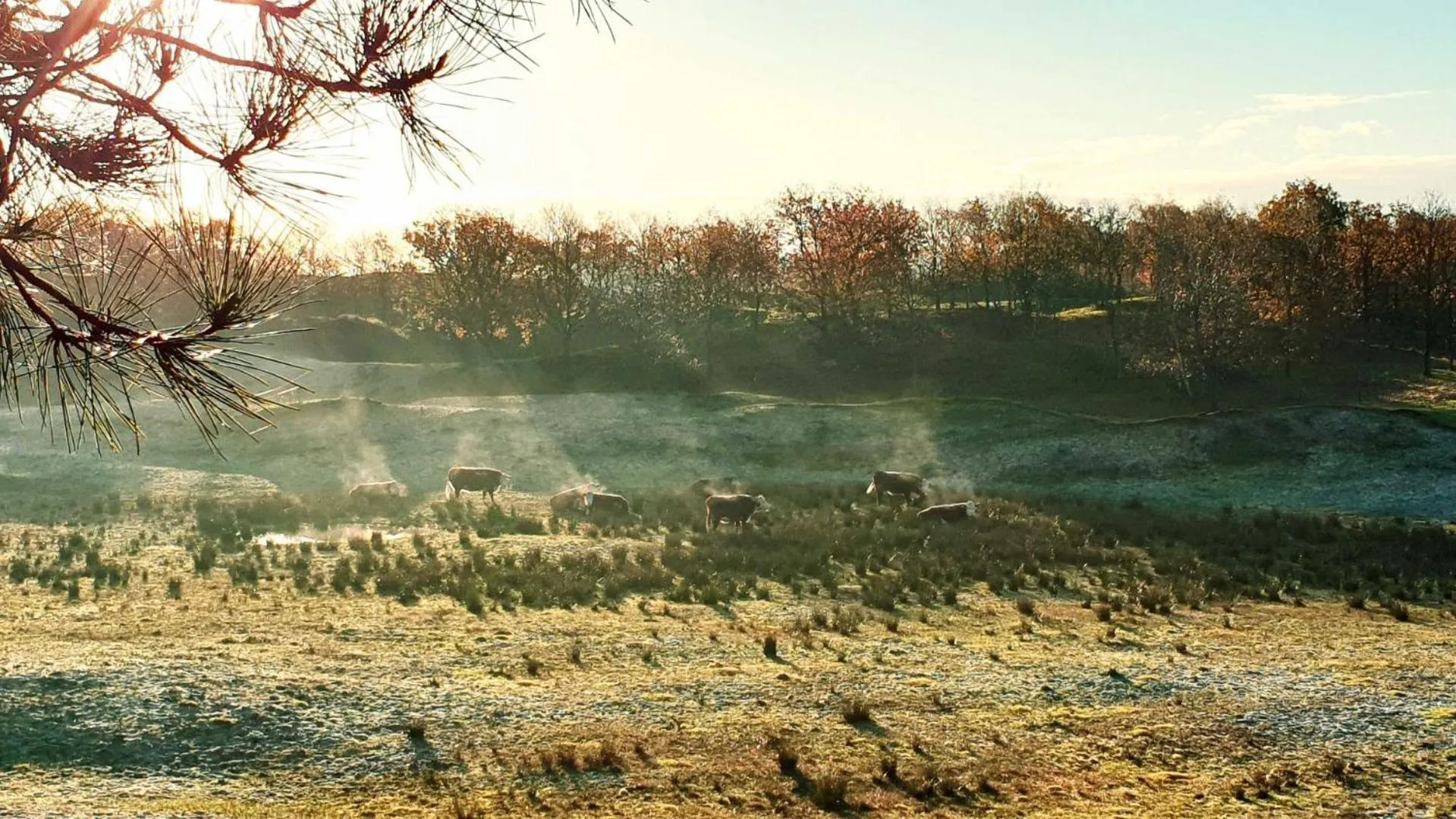 Day in Hotel Kijkduin