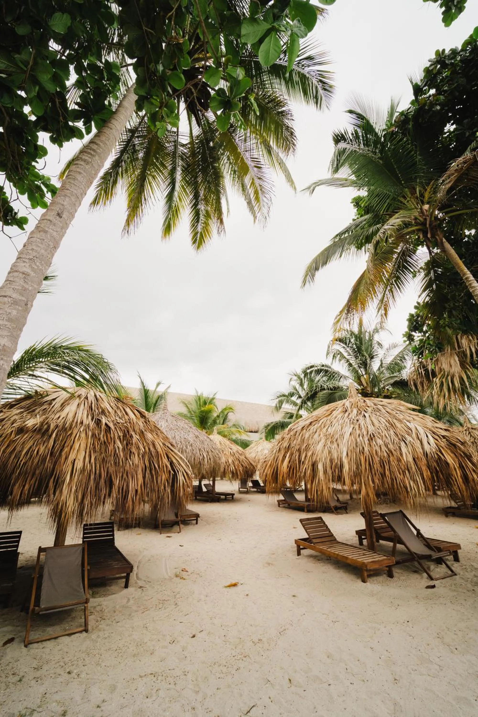 Beach in Naio Hotel y Villas By OxoHotel