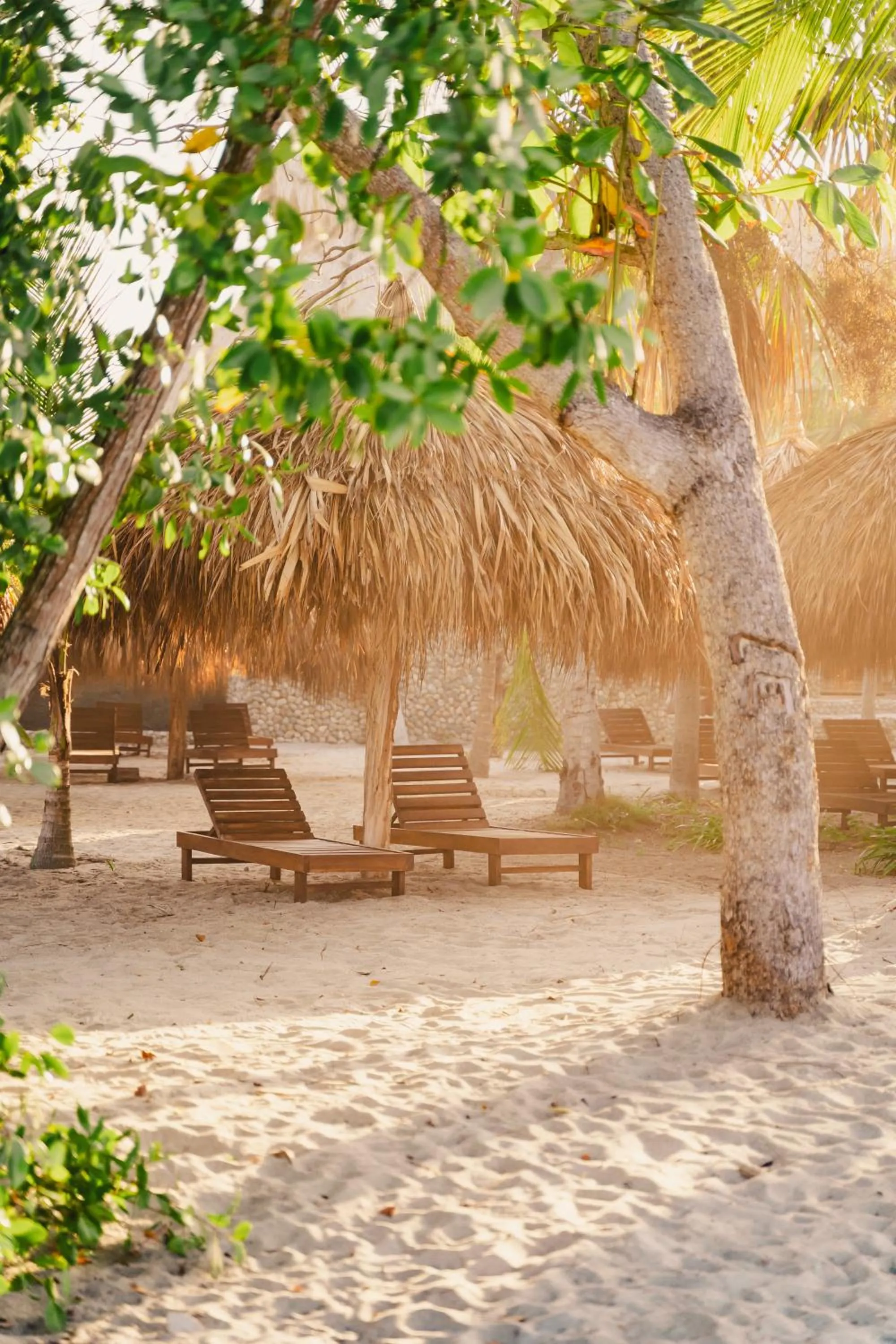 Beach in Naio Hotel y Villas By OxoHotel