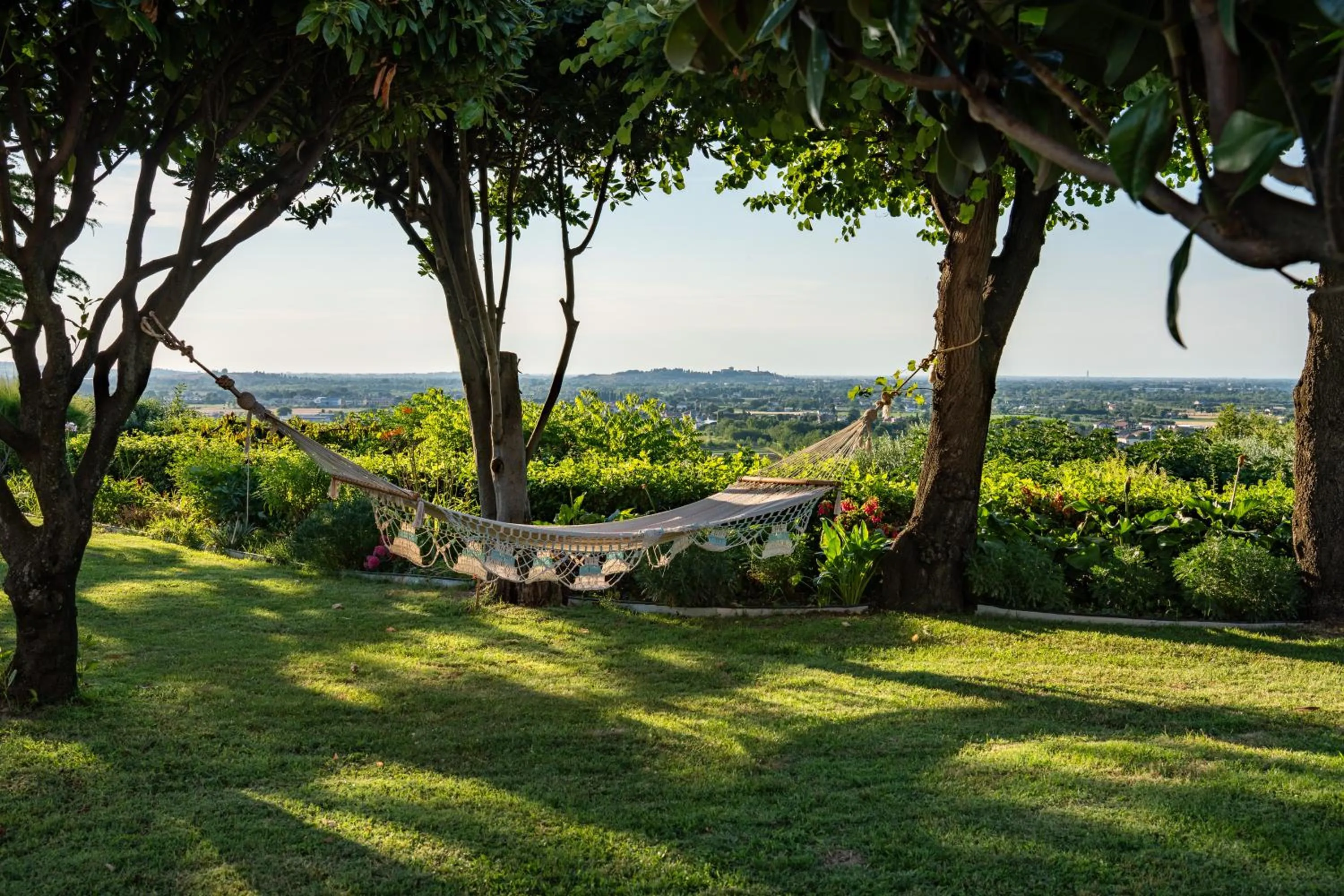 Garden in Villa Dell' Artista - Villa Anna