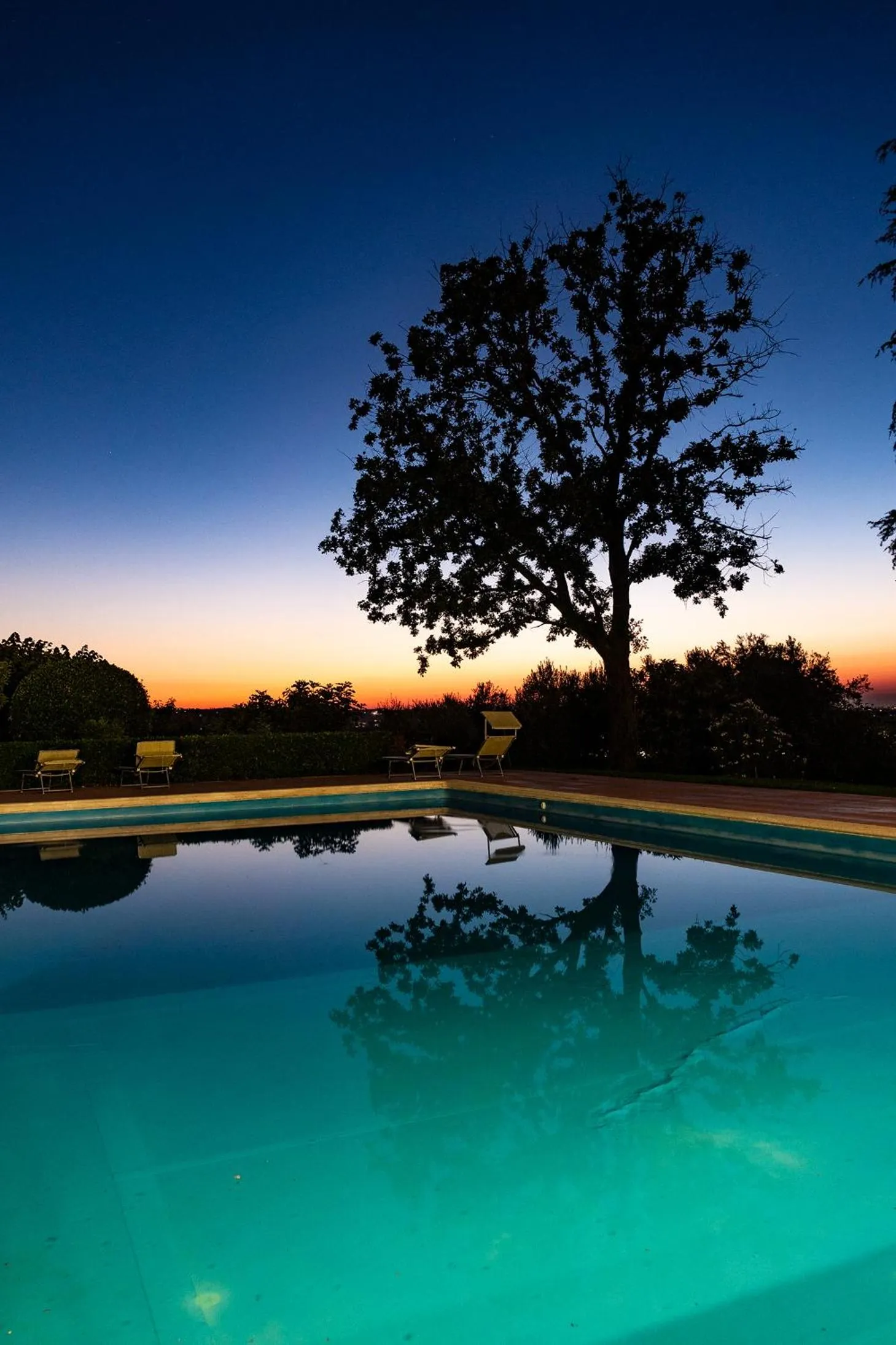 Natural landscape in Villa Dell' Artista - Villa Anna