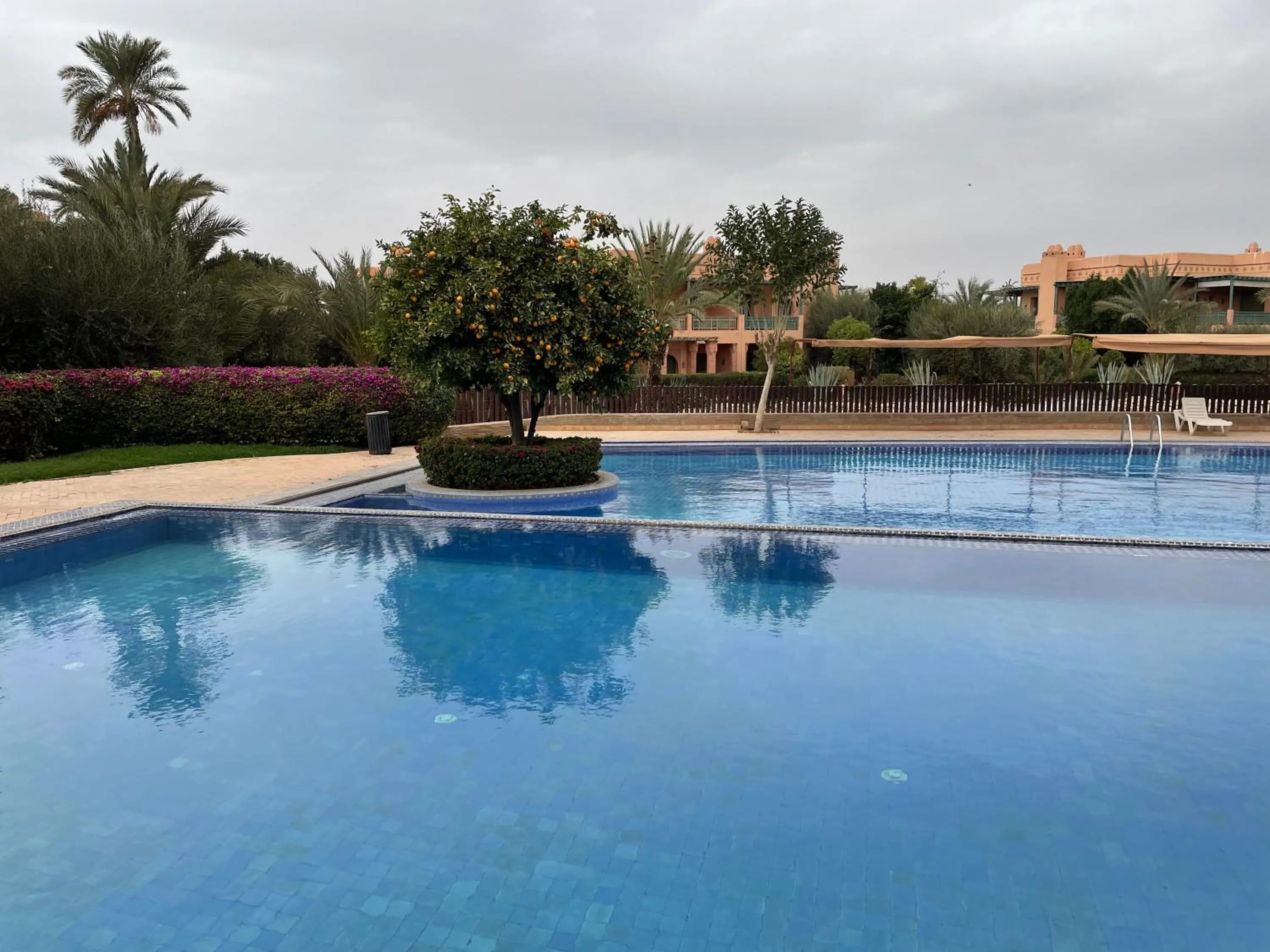 Swimming pool in Les Fleurs du Bien - Marrakech