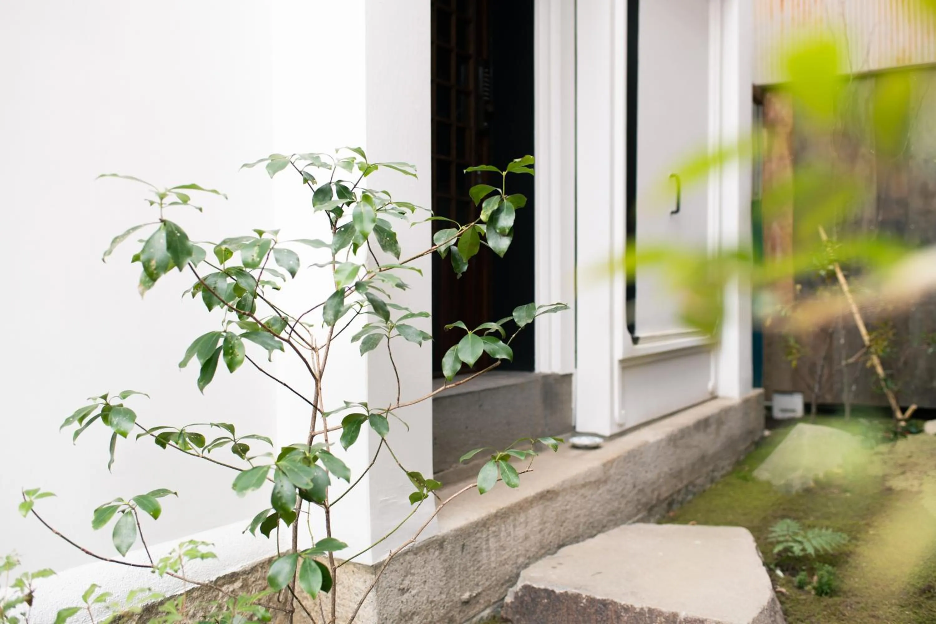 Property building in Nunoya Ryokan