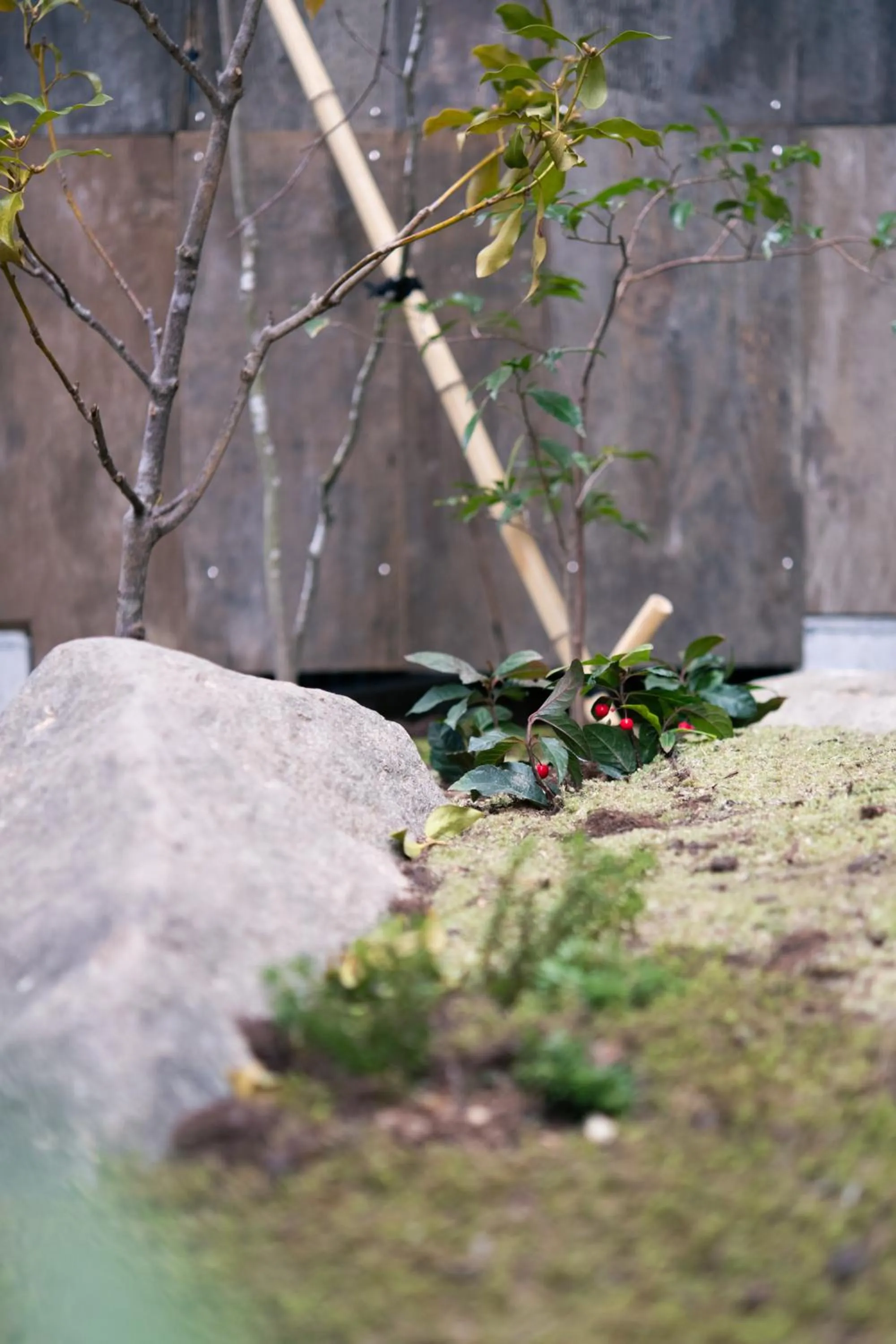 Property building in Nunoya Ryokan