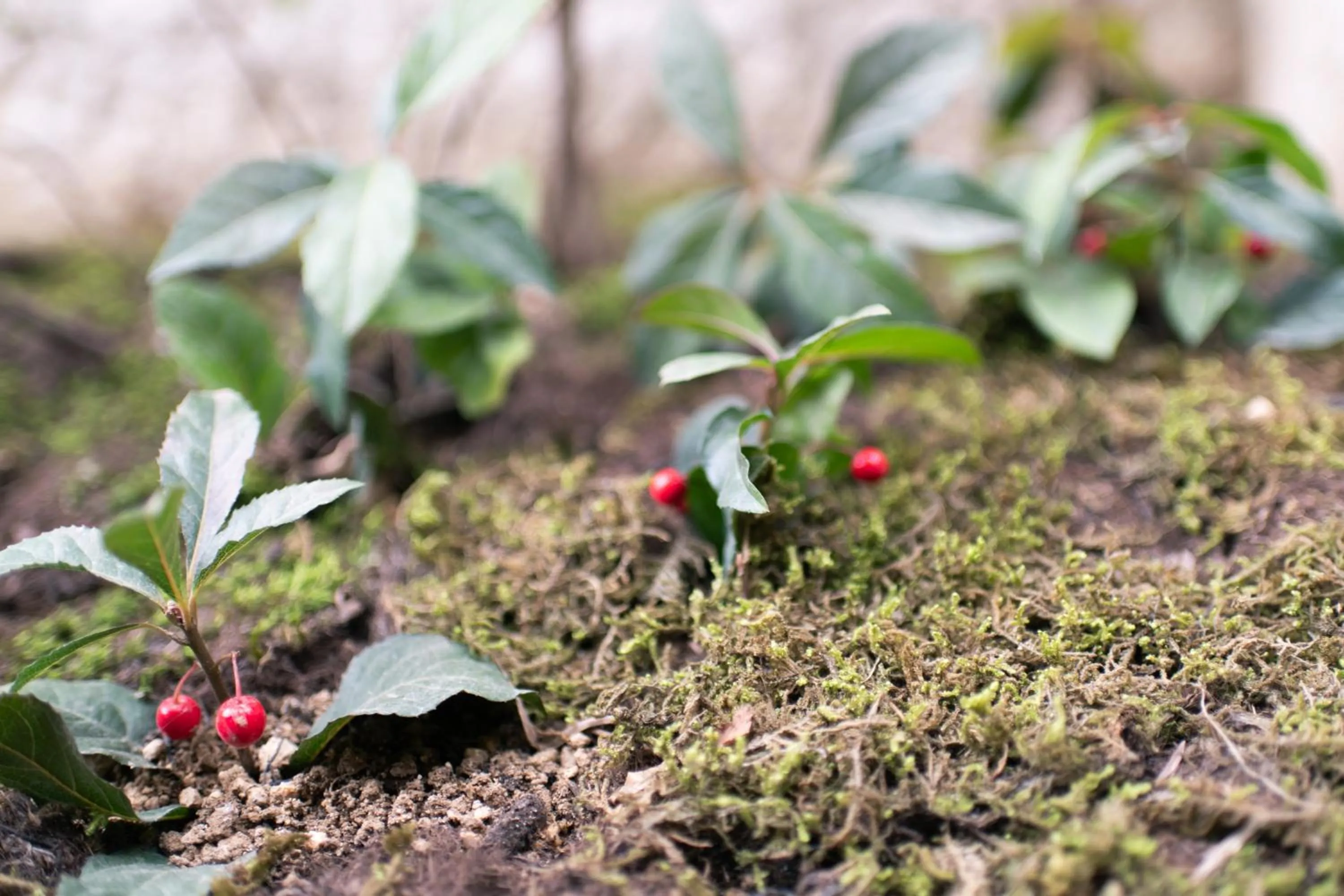 Property building in Nunoya Ryokan