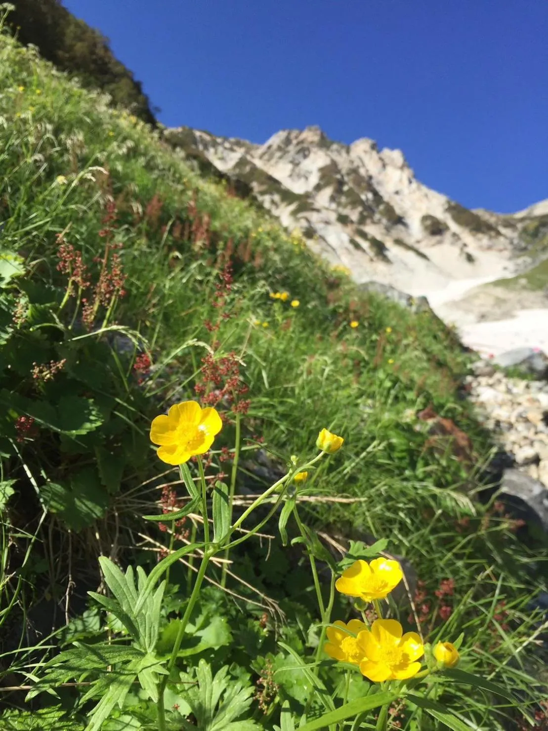 Neighbourhood in Nunoya Ryokan