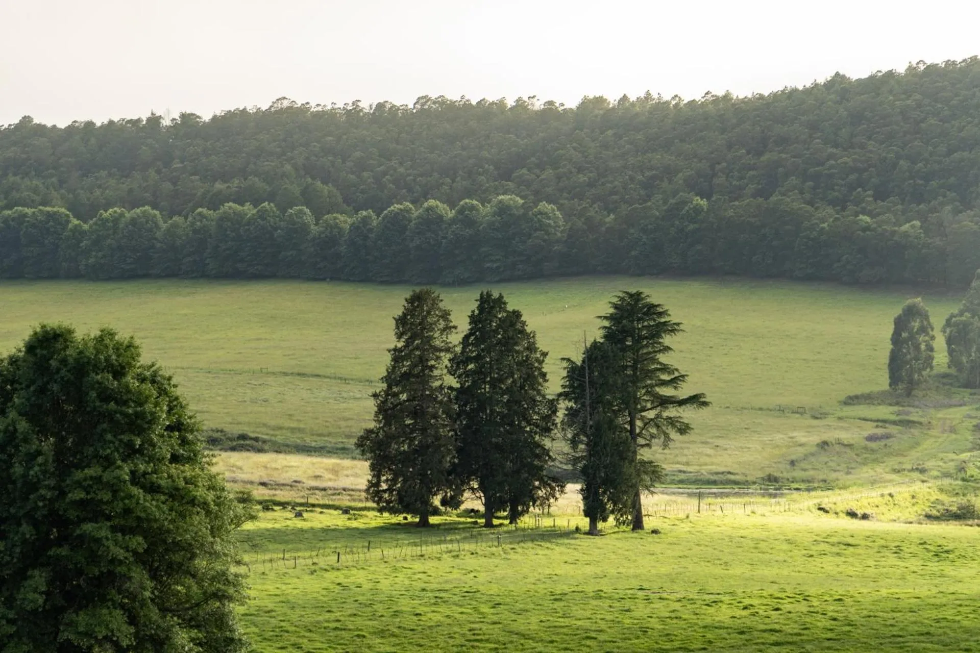Natural landscape in Whispering Waters