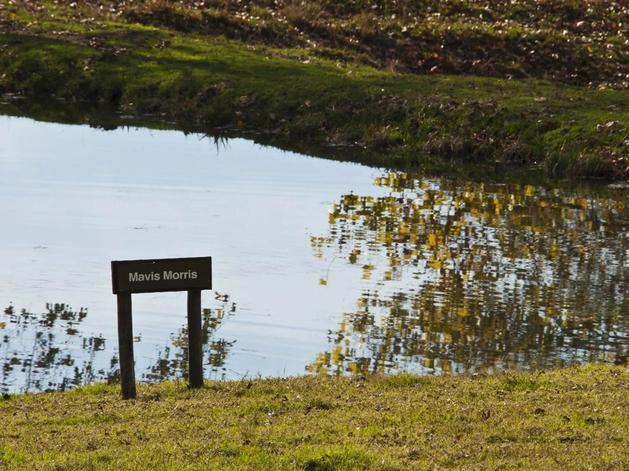 Fishing in Whispering Waters