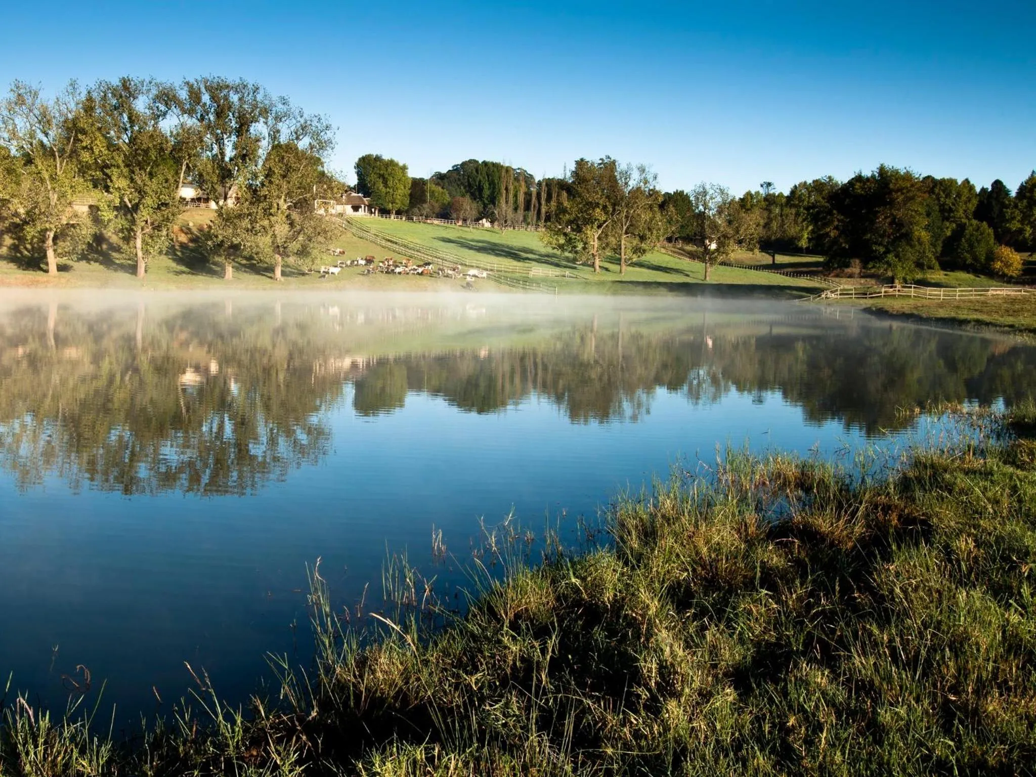 Area and facilities in Whispering Waters