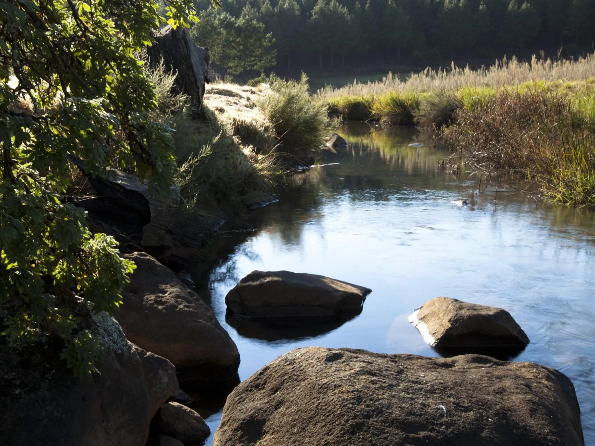 Natural landscape in Whispering Waters