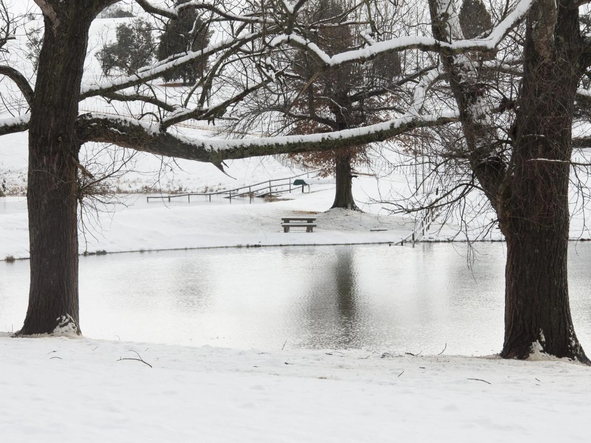 Natural landscape in Whispering Waters
