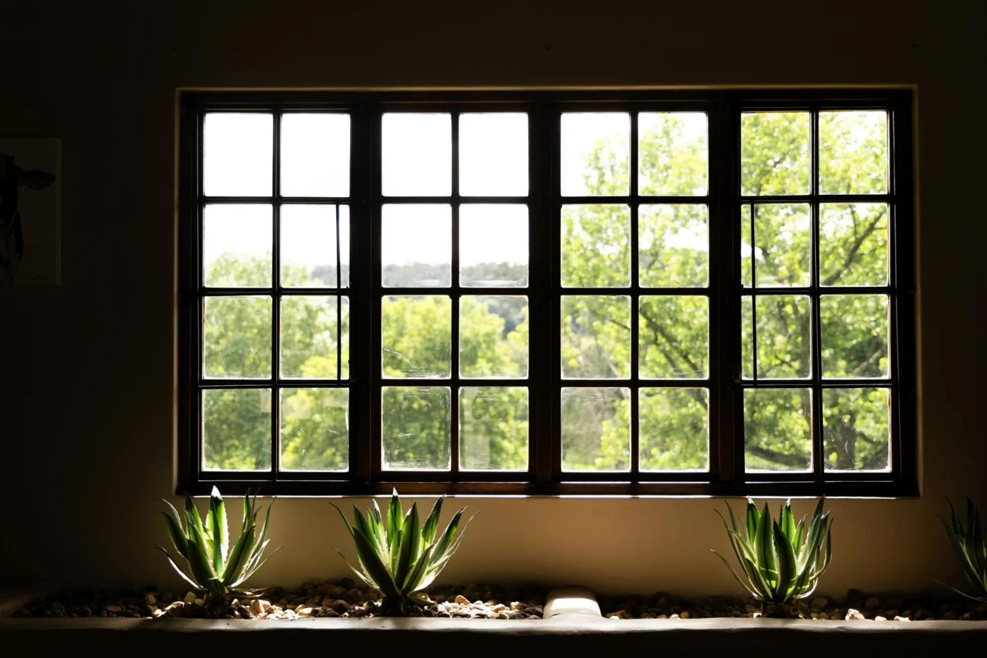 Garden in Whispering Waters