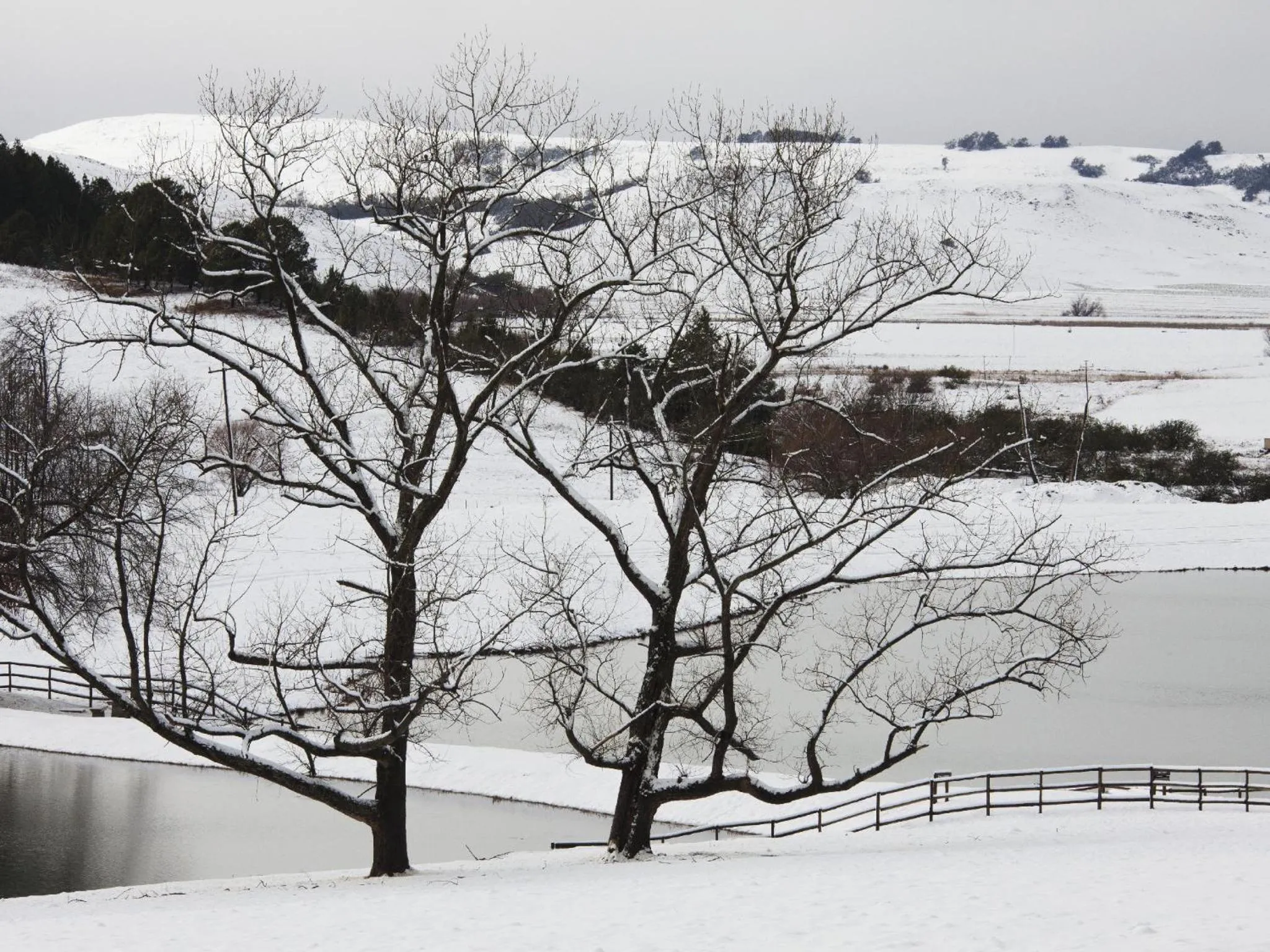 Natural landscape in Whispering Waters