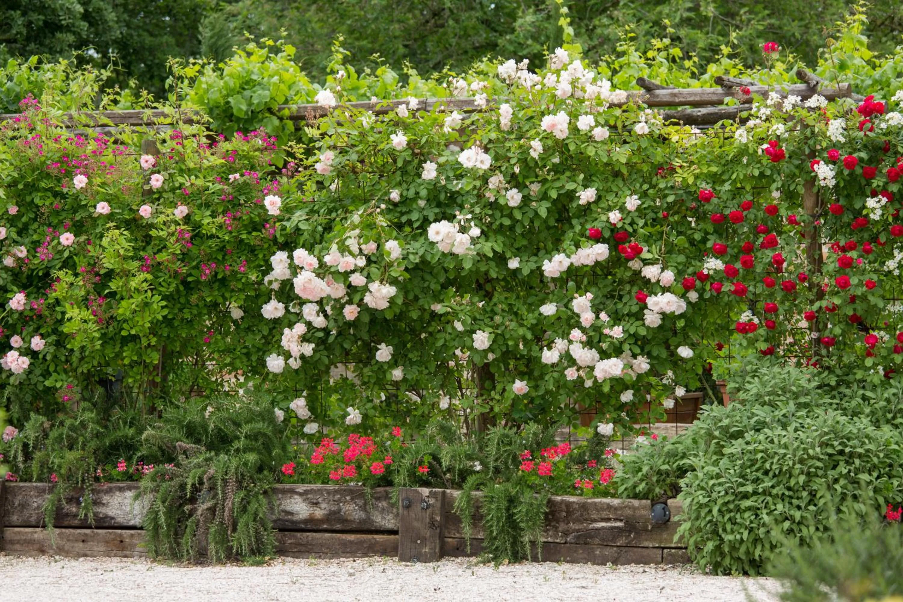 Garden view in Ca'Bevilacqua Bed&Breakfast