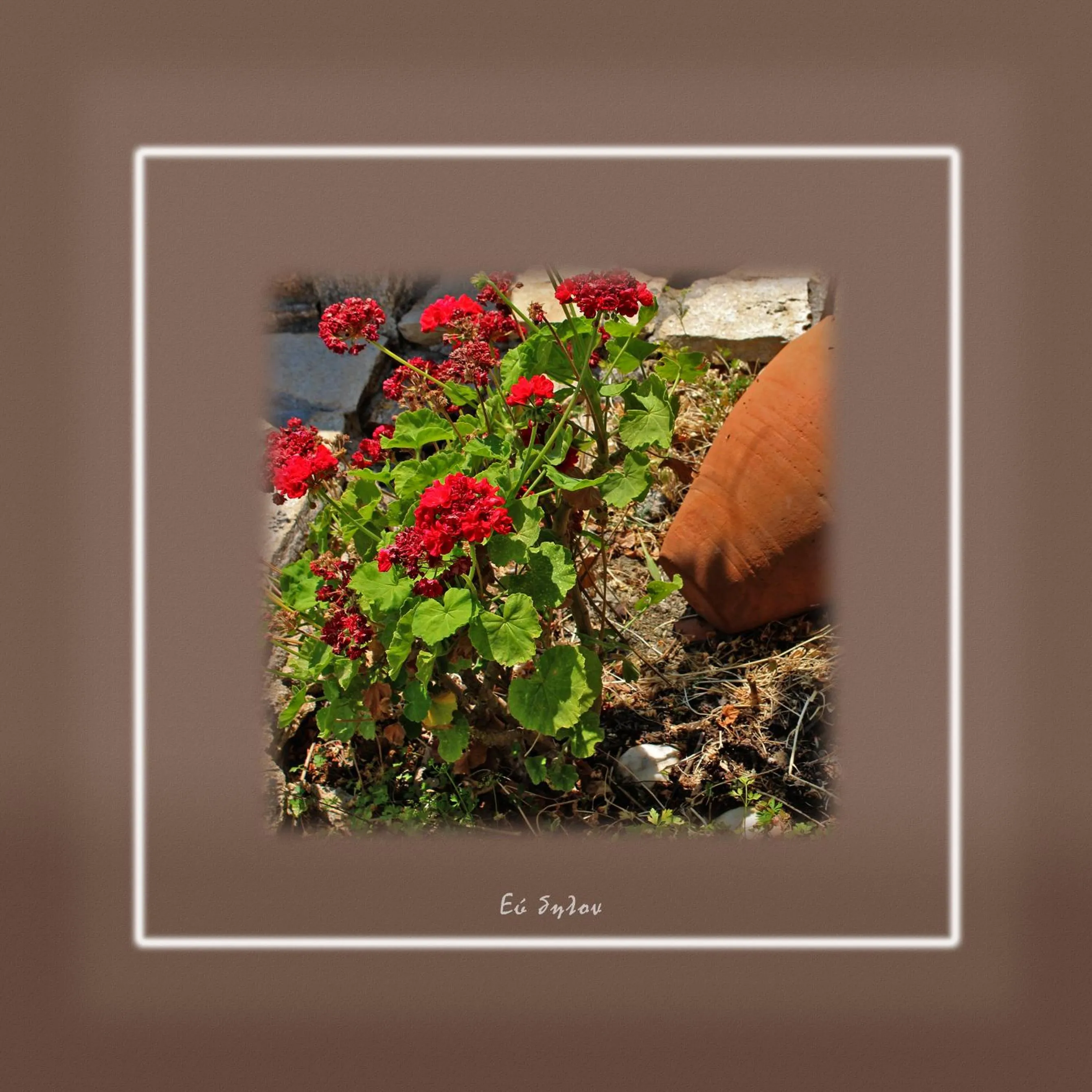 Ikaria Utopia - Cusco Studios