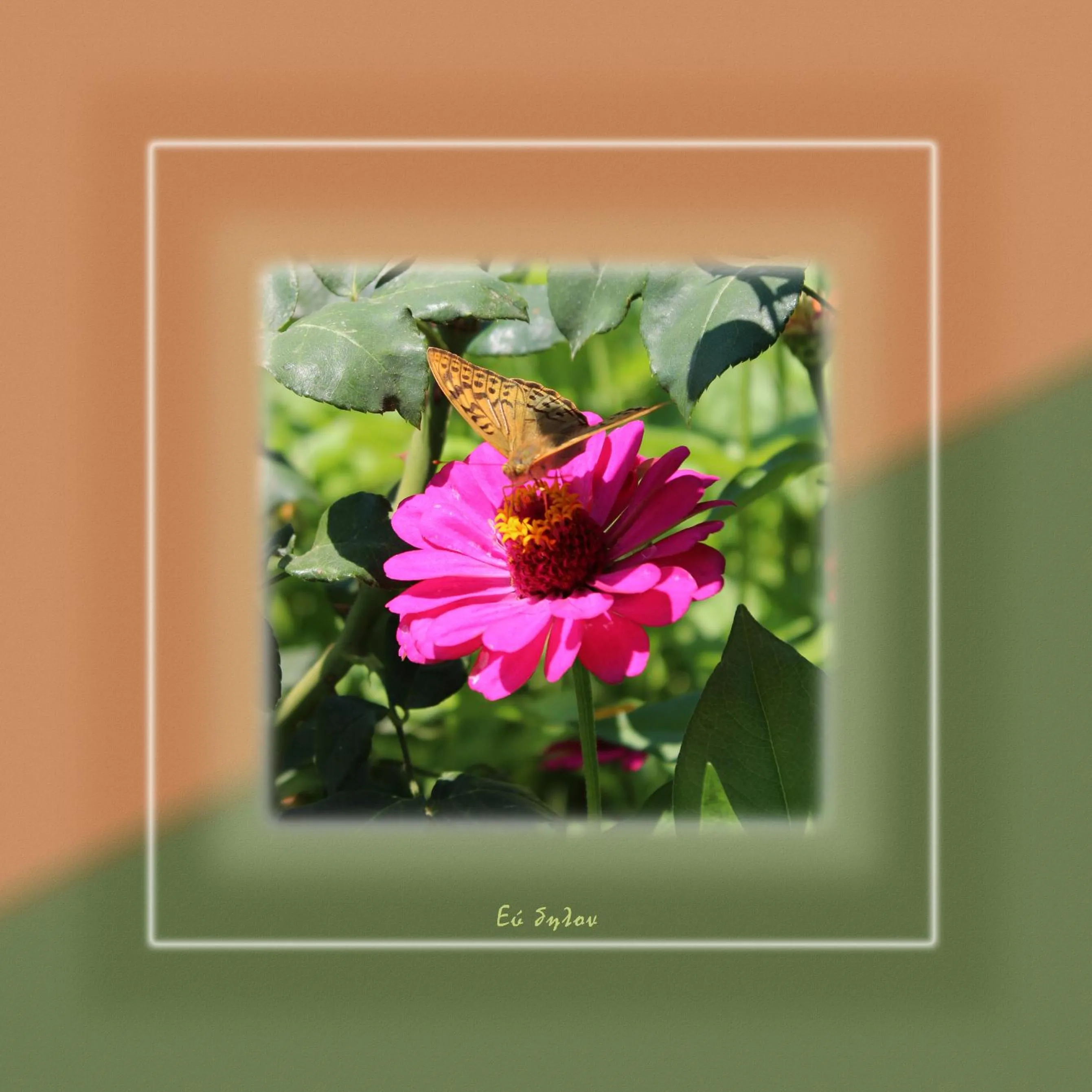 Ikaria Utopia - Cusco Studios