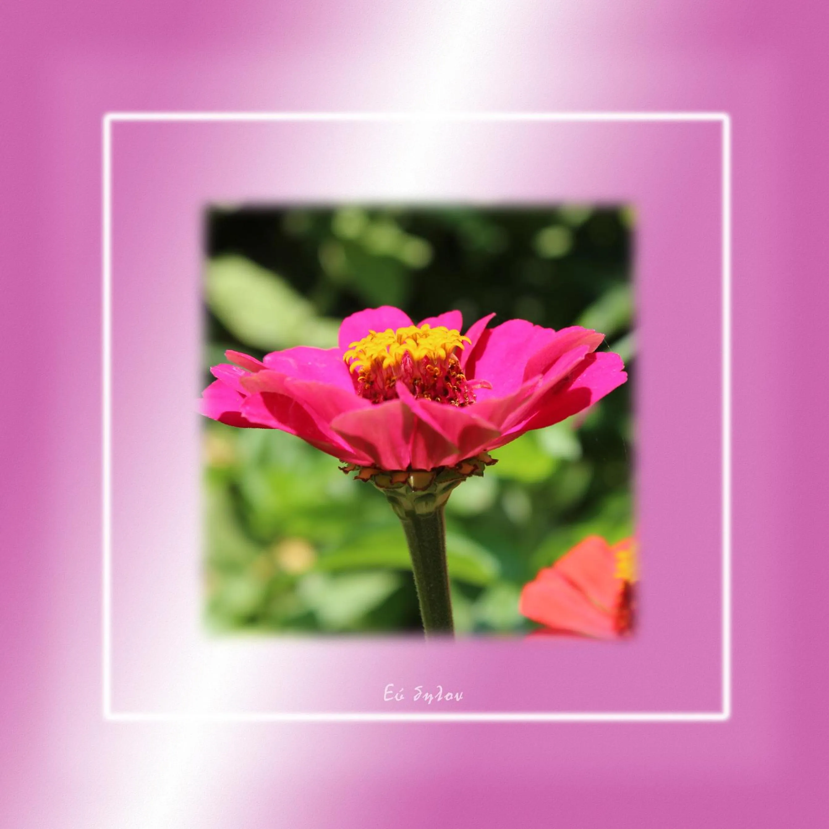 Ikaria Utopia - Cusco Studios