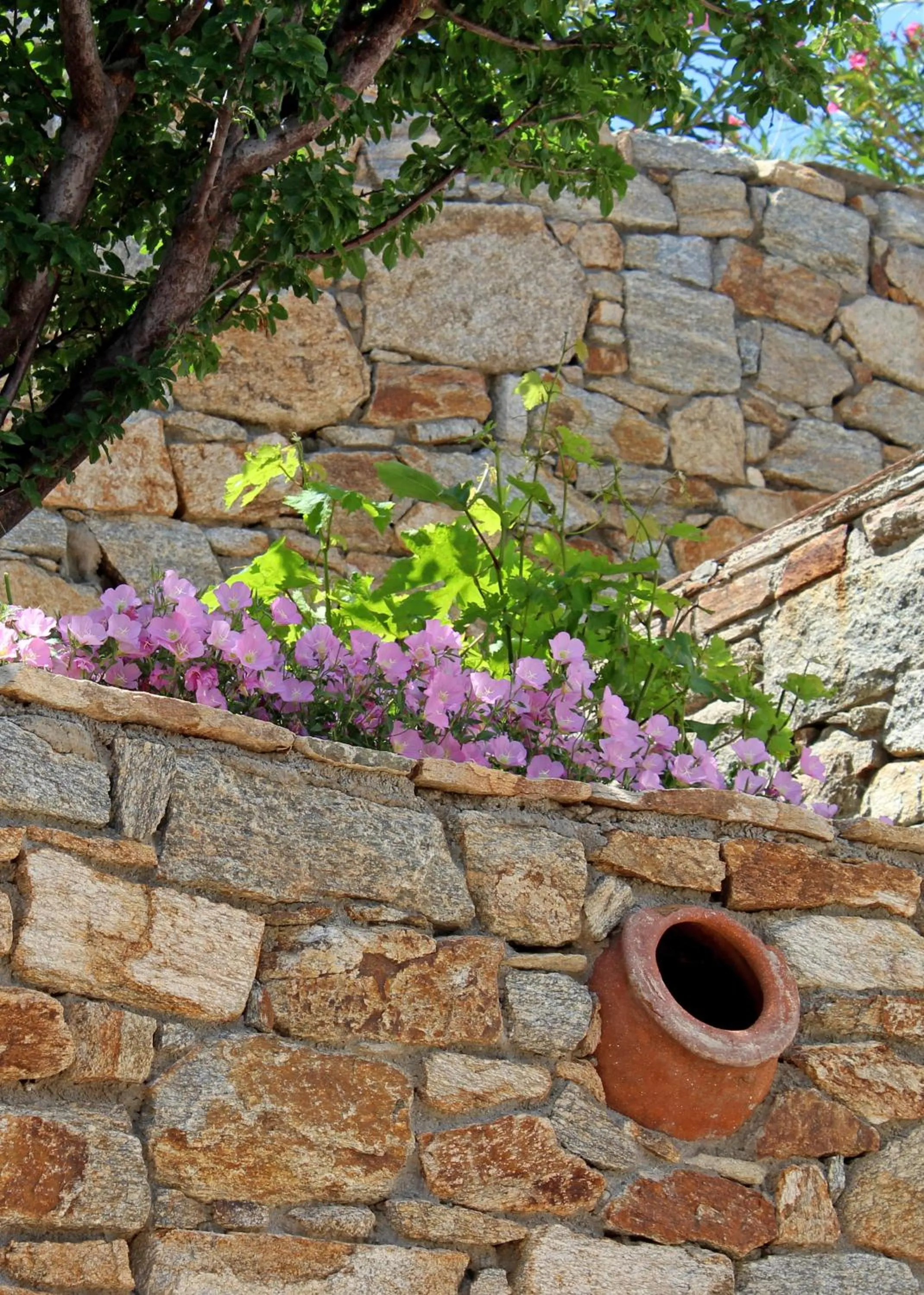 Ikaria Utopia - Cusco Studios