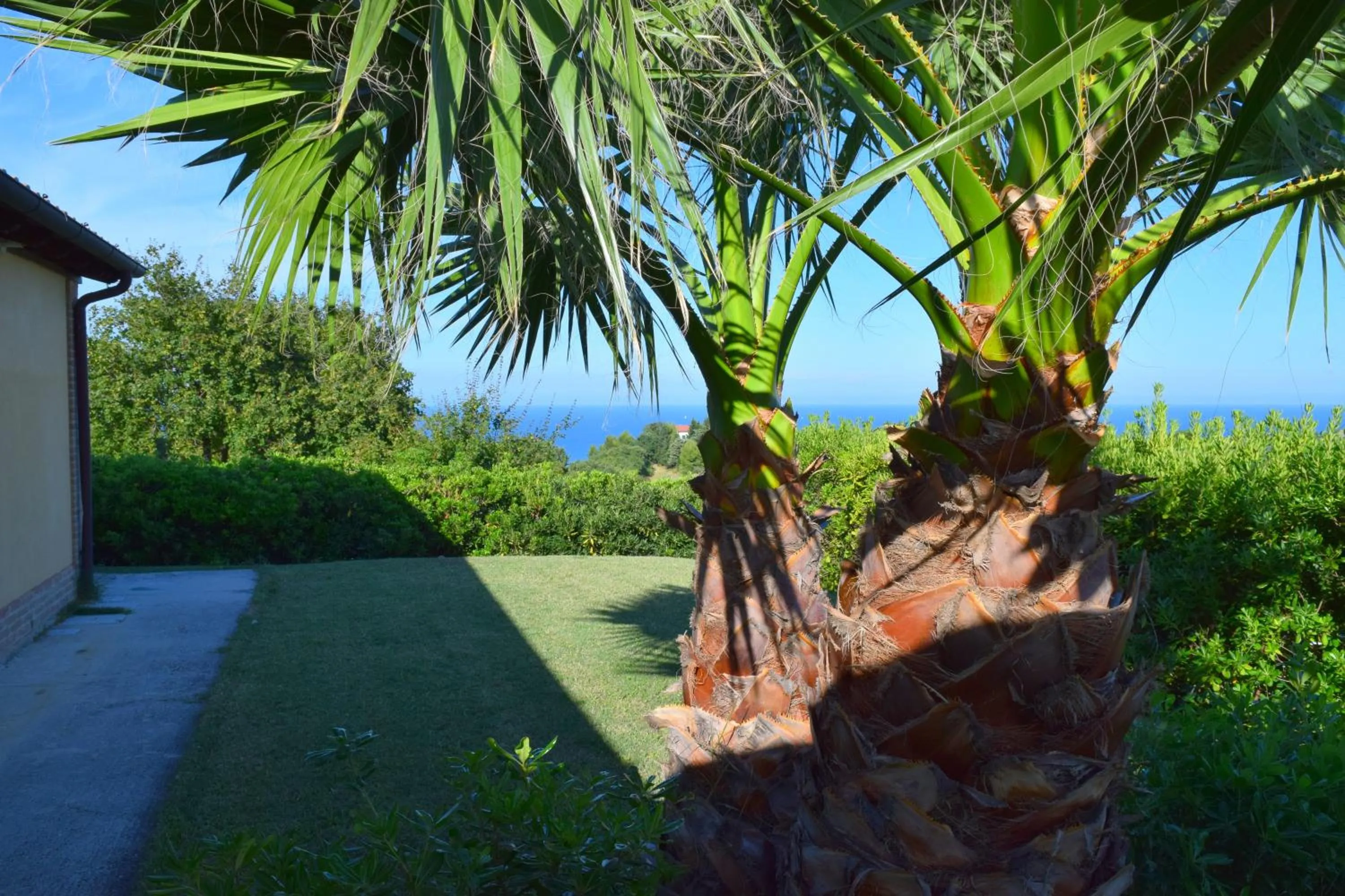 Garden in Villa Manu