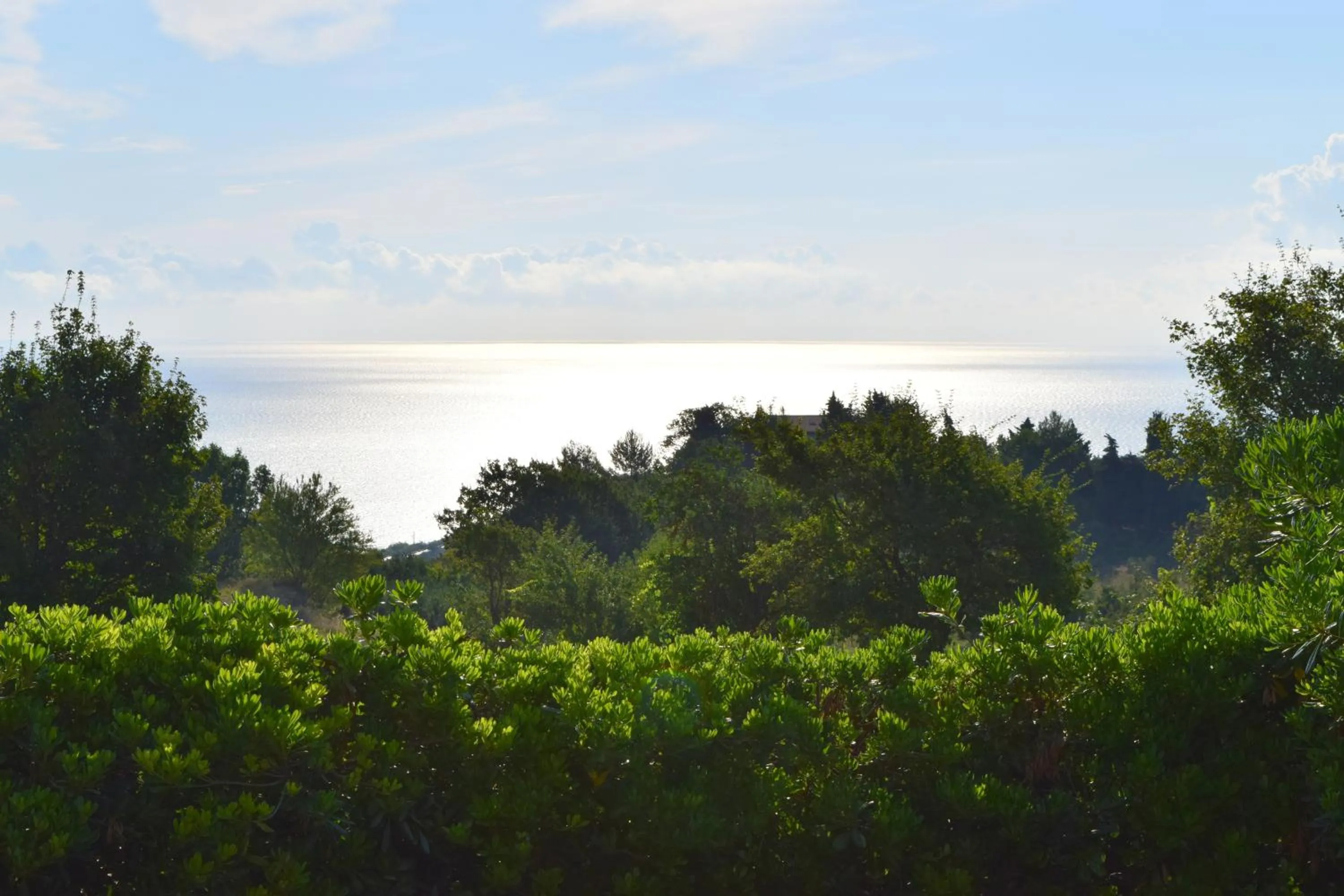 Natural landscape in Villa Manu