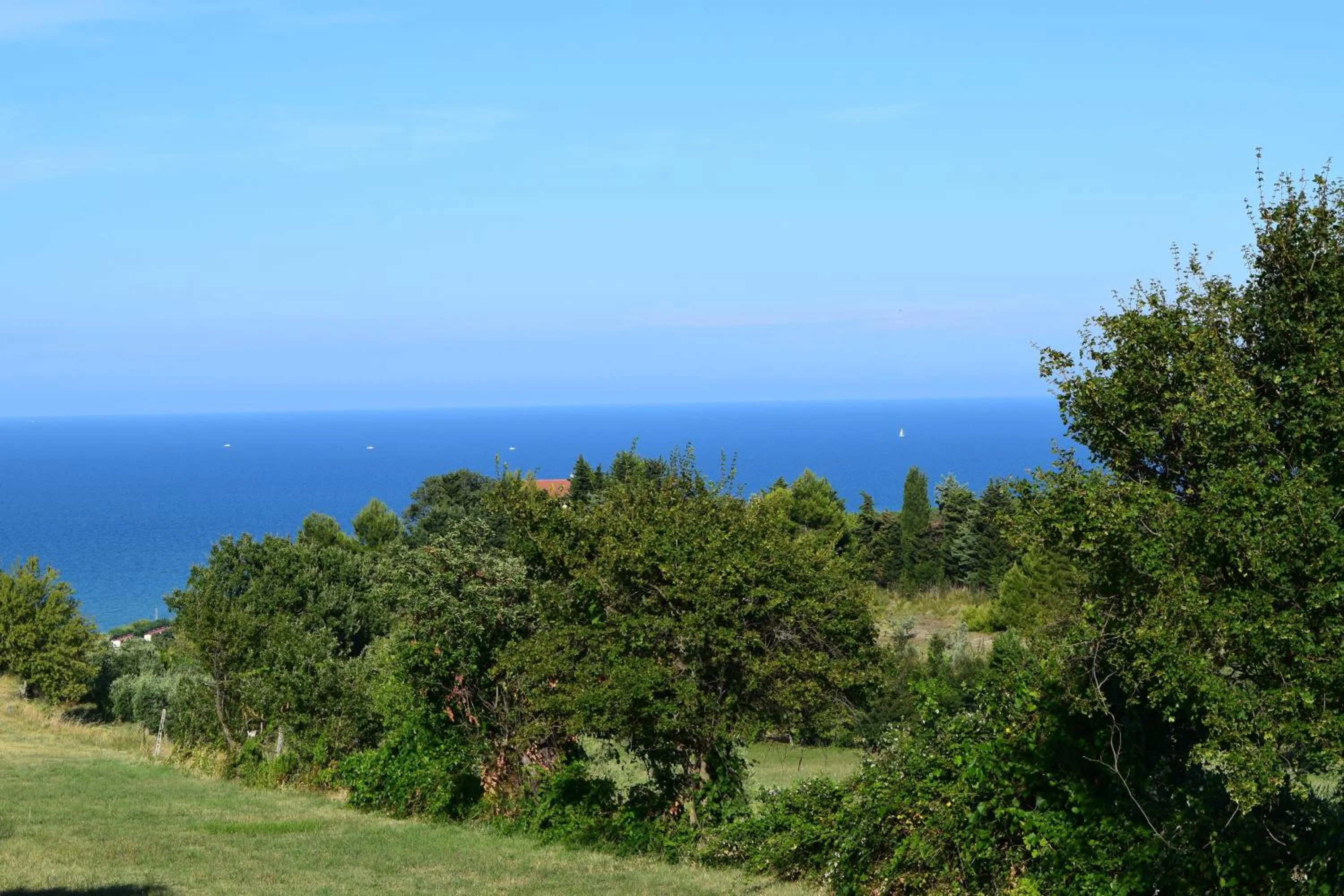 Natural landscape in Villa Manu