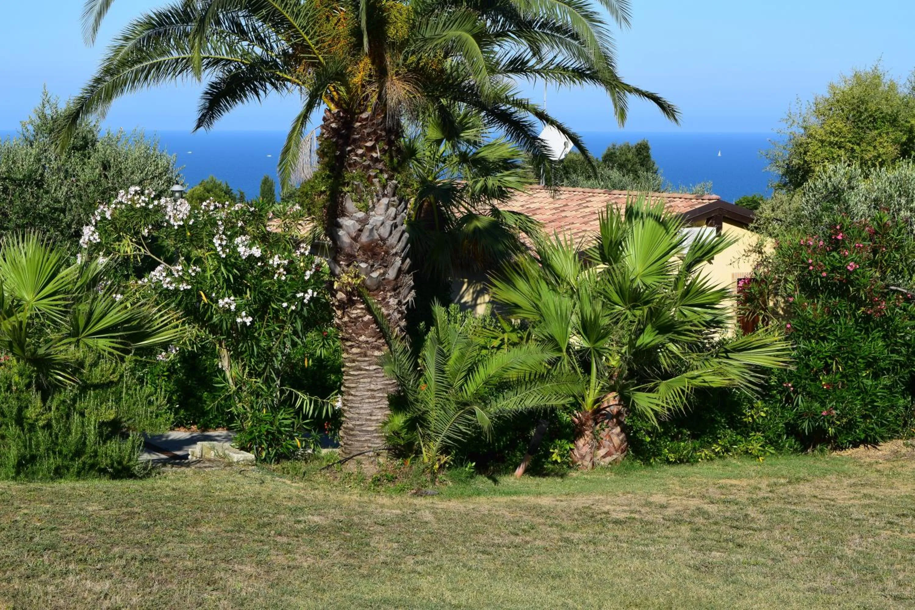 Natural landscape in Villa Manu