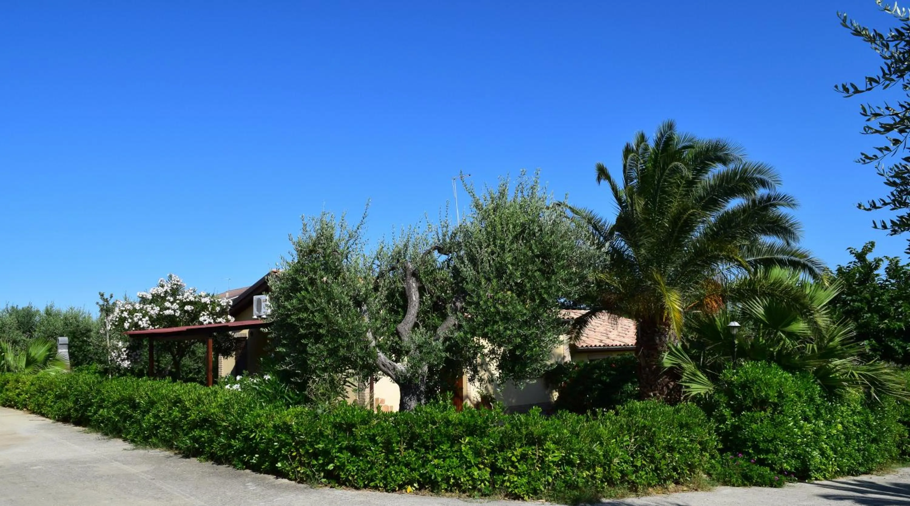 Property building in Villa Manu