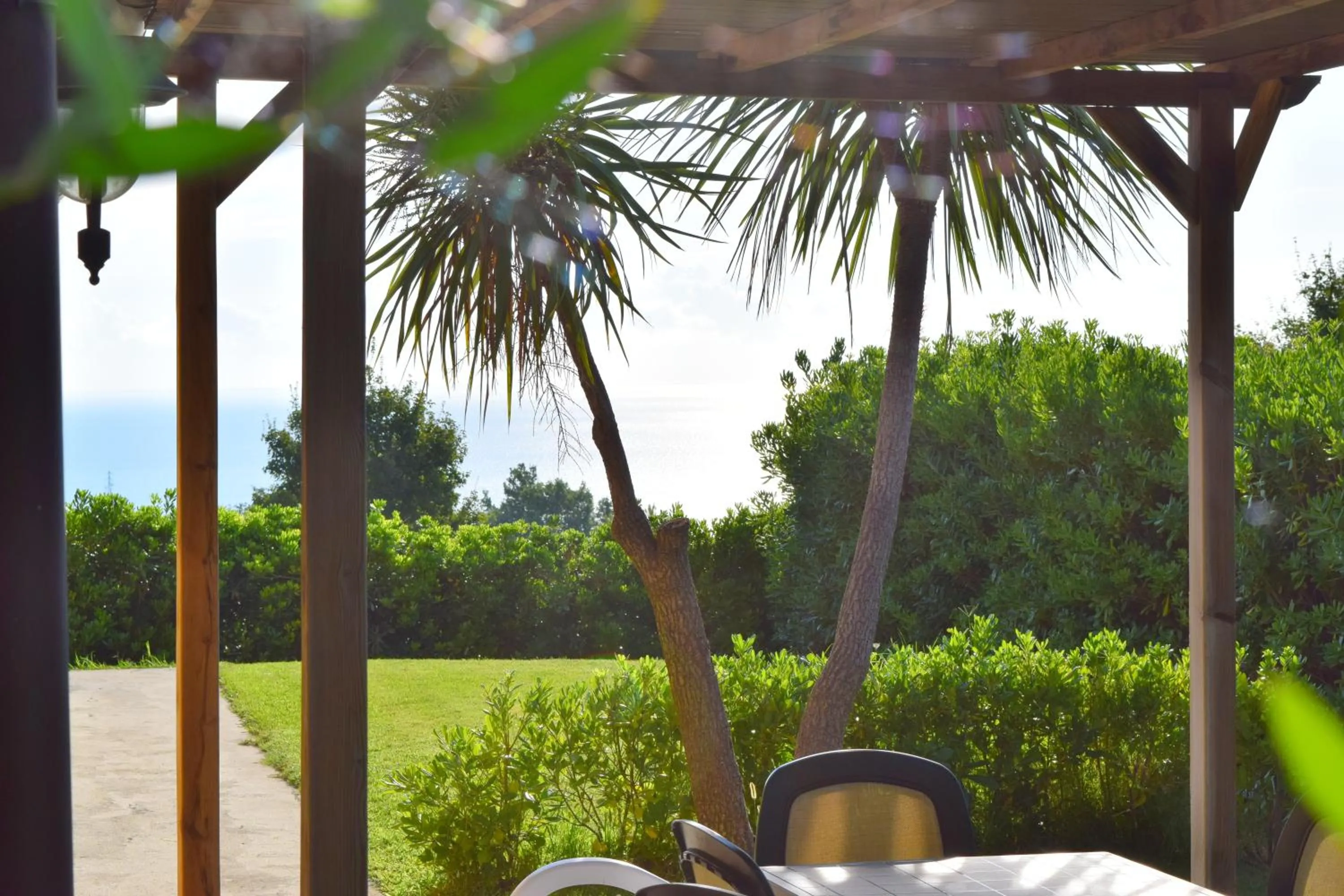Garden view in Villa Manu