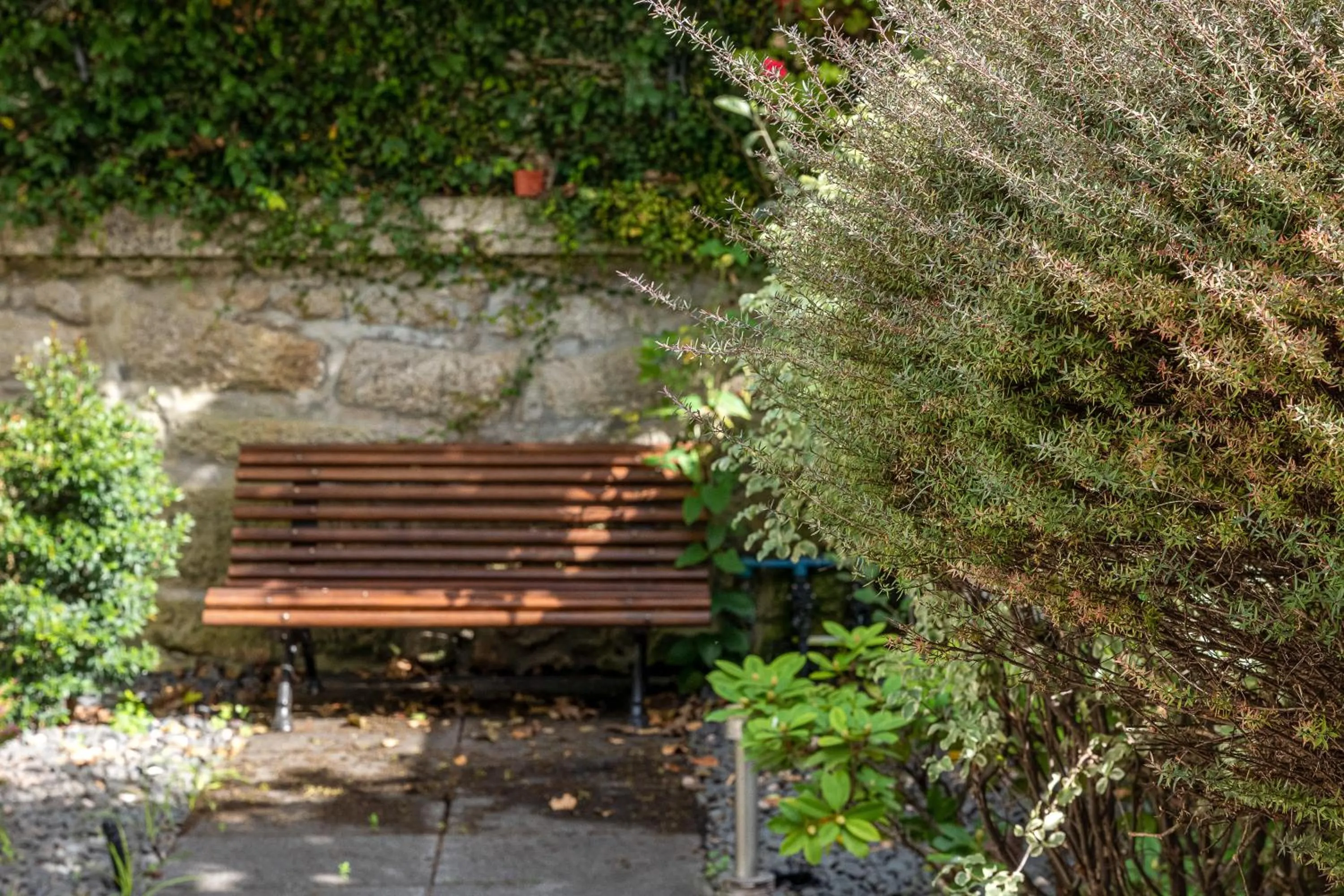 Garden in Oporto Trendy Apartments