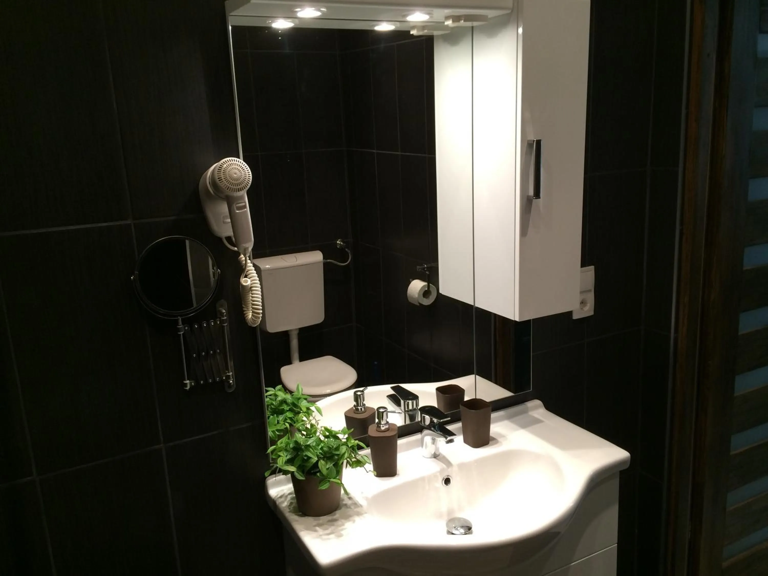Bathroom in Central King Apartment