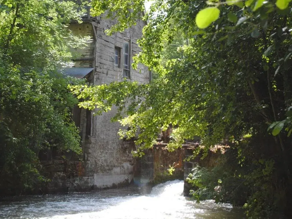 View (from property/room) in Au Pré du Moulin View (from property/room) in Au Pré du Moulin