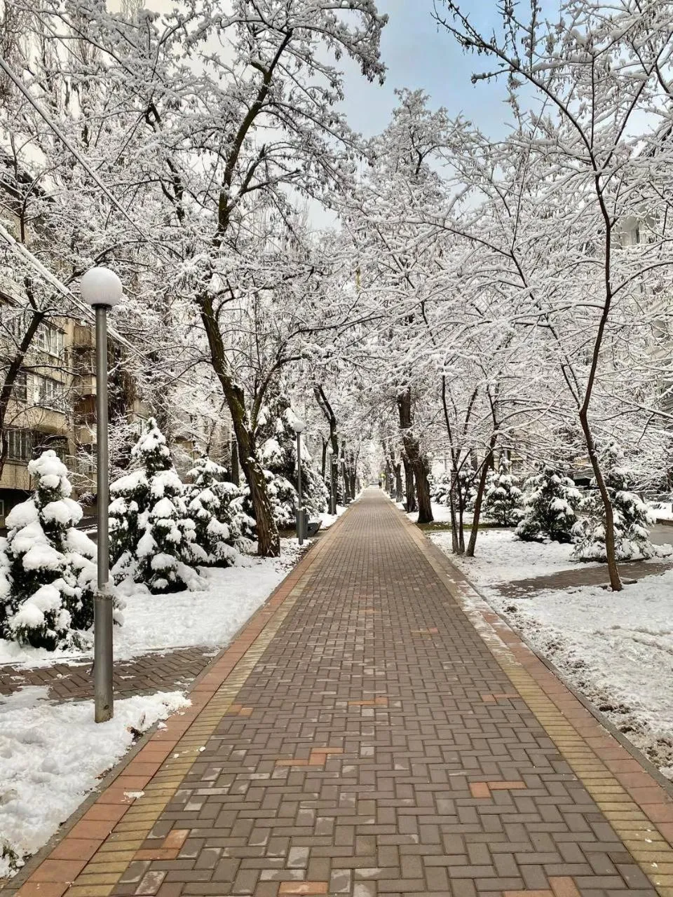 Natural landscape in Alma-Ata Hostel