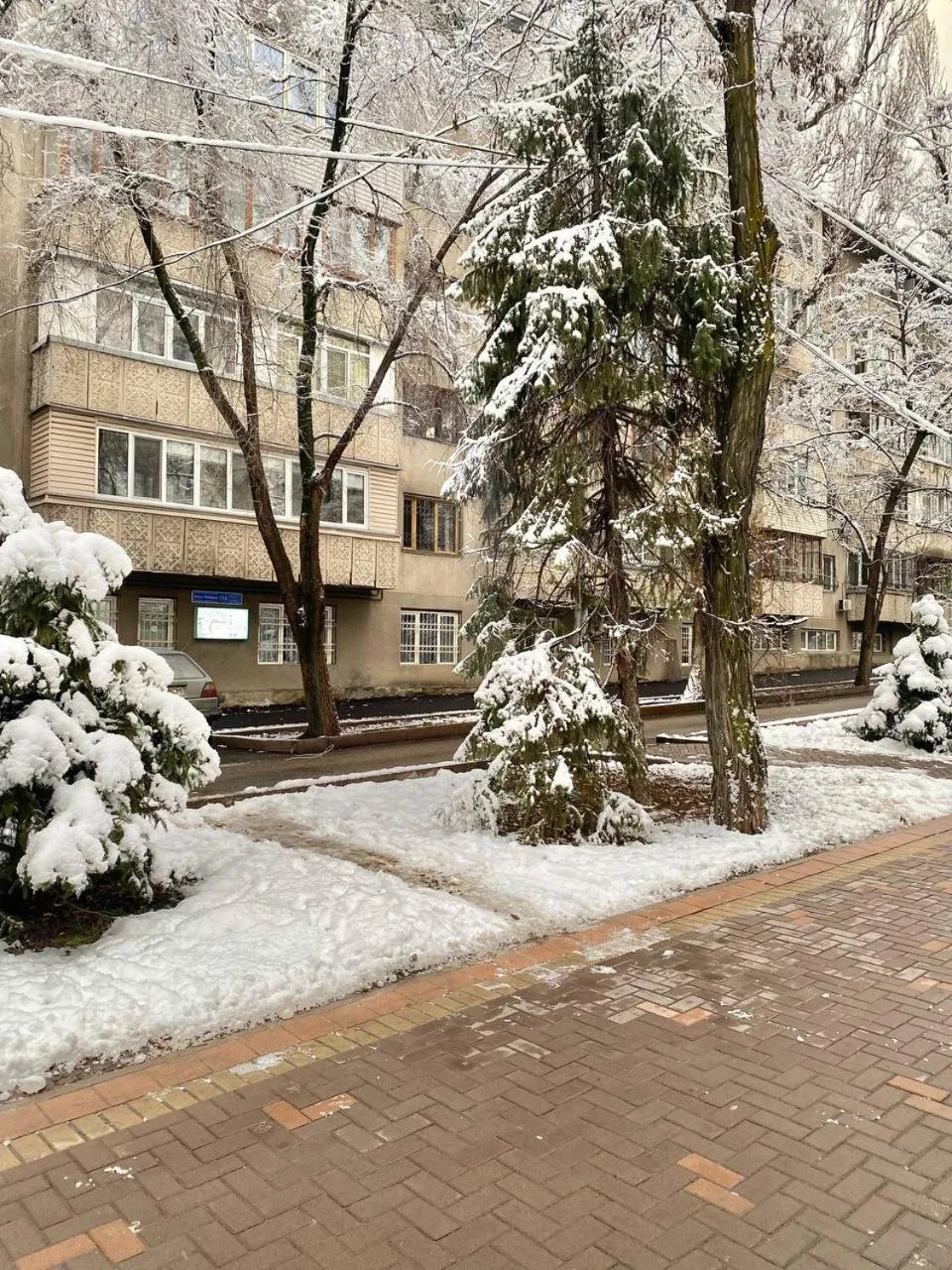 Property building in Alma-Ata Hostel