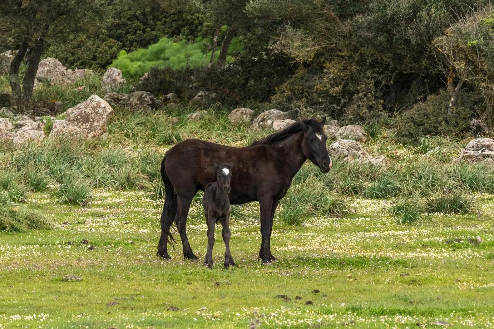 Hiking in Albergo Diffuso Il Mandorlo