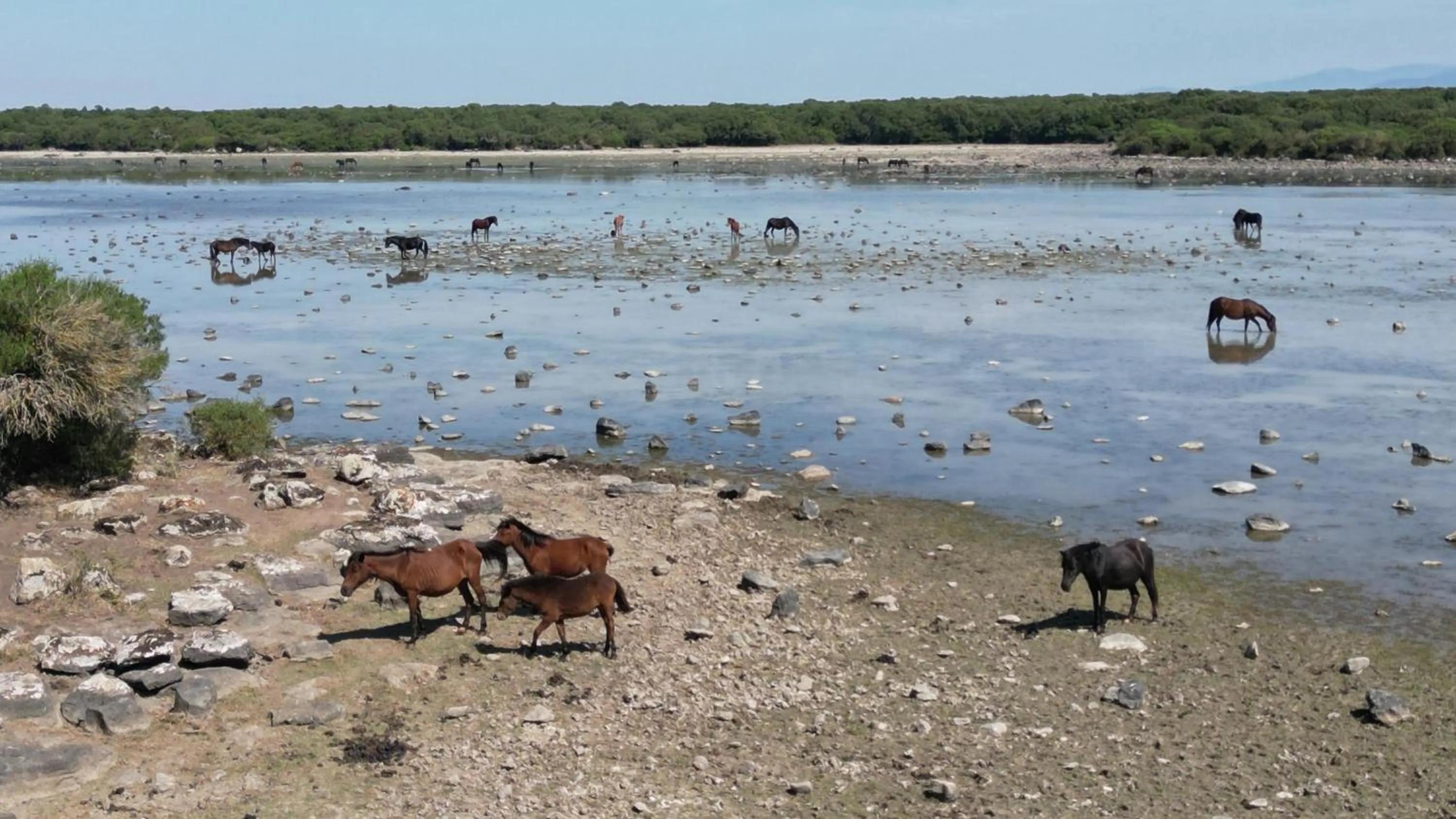Albergo Diffuso Il Mandorlo