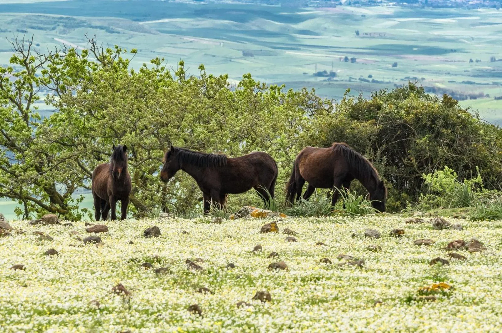 Hiking in Albergo Diffuso Il Mandorlo