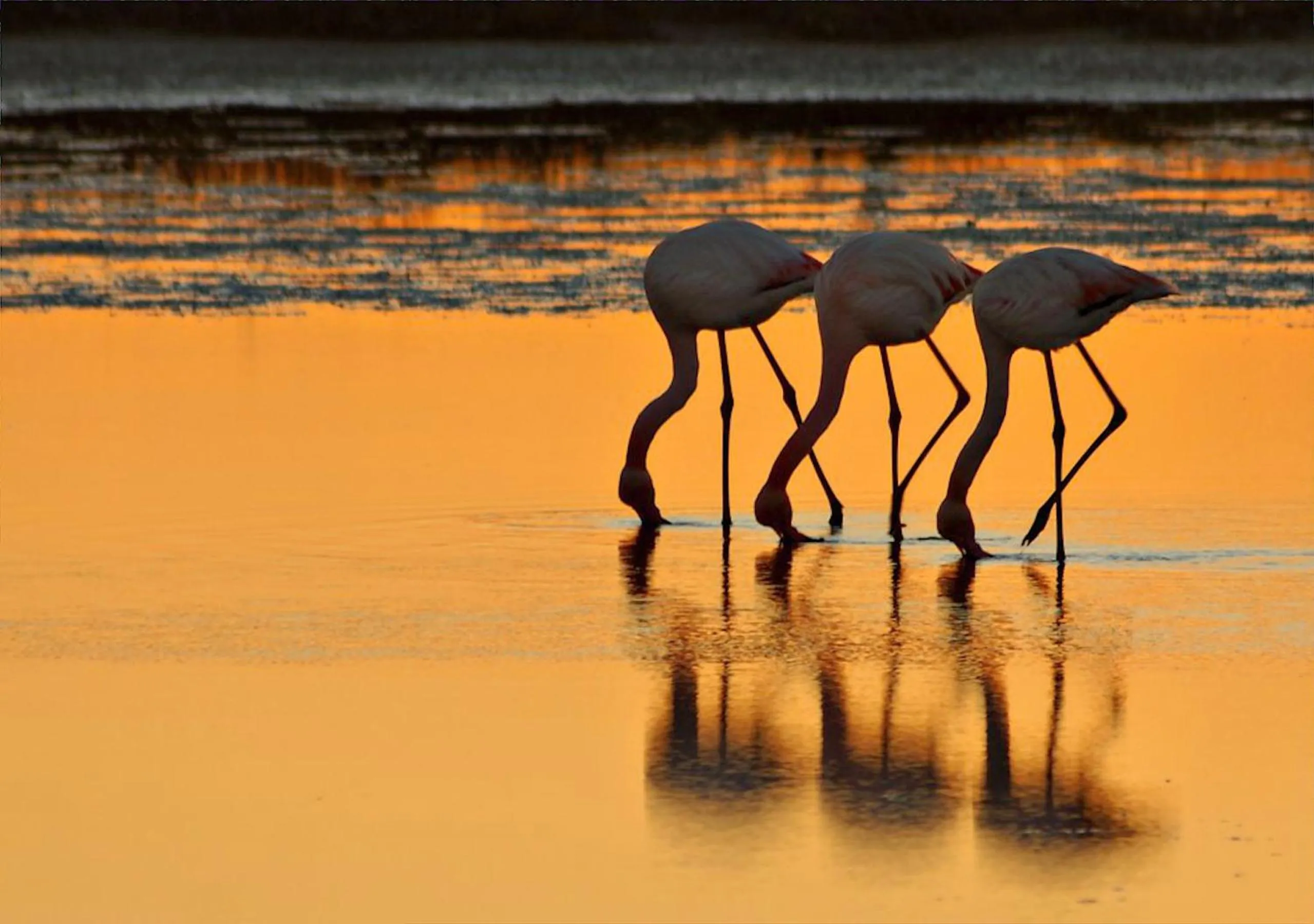 Off site in La Résidence Arles Centre