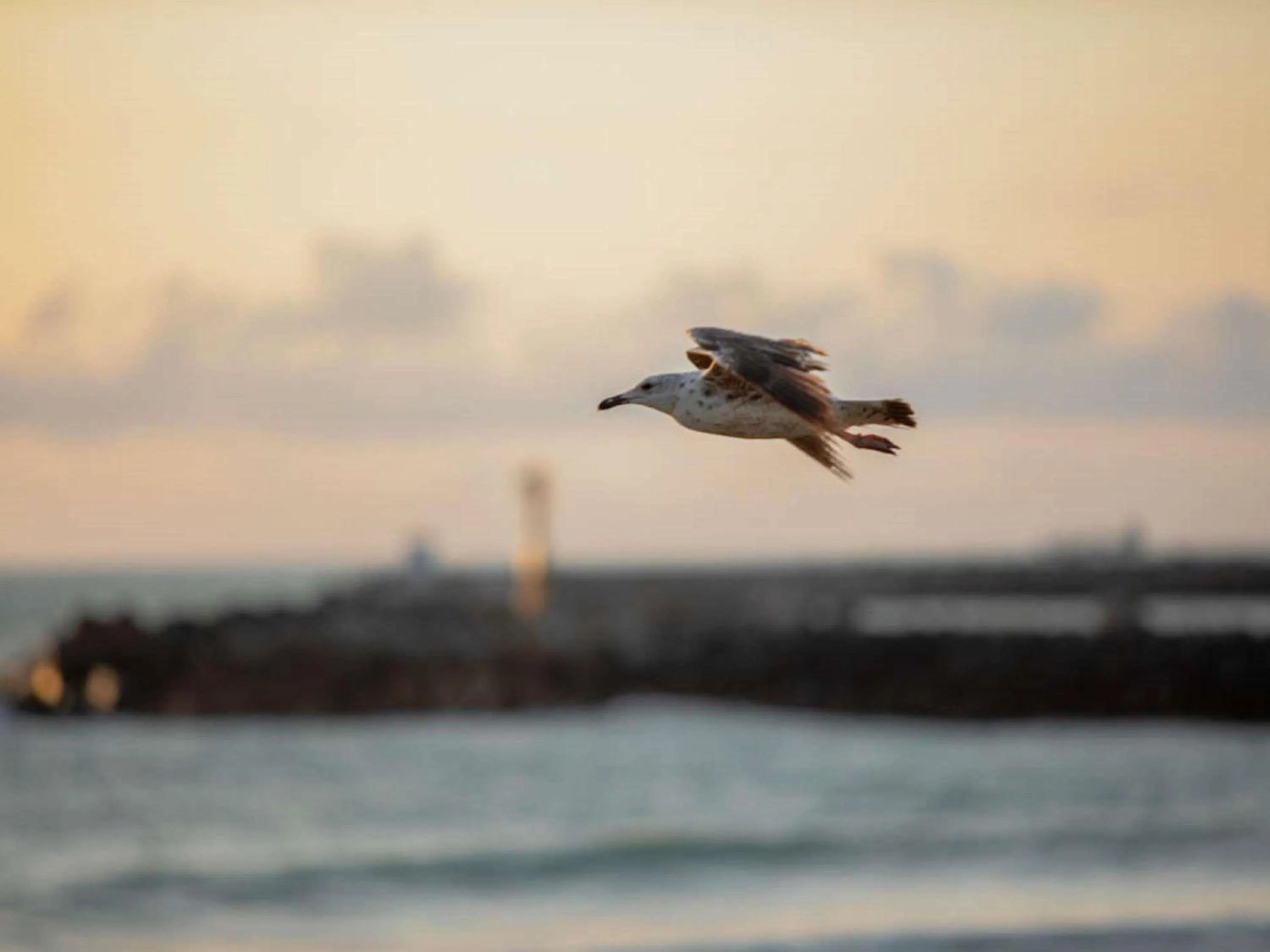 Other in ibis budget Ciboure St-Jean-Luz