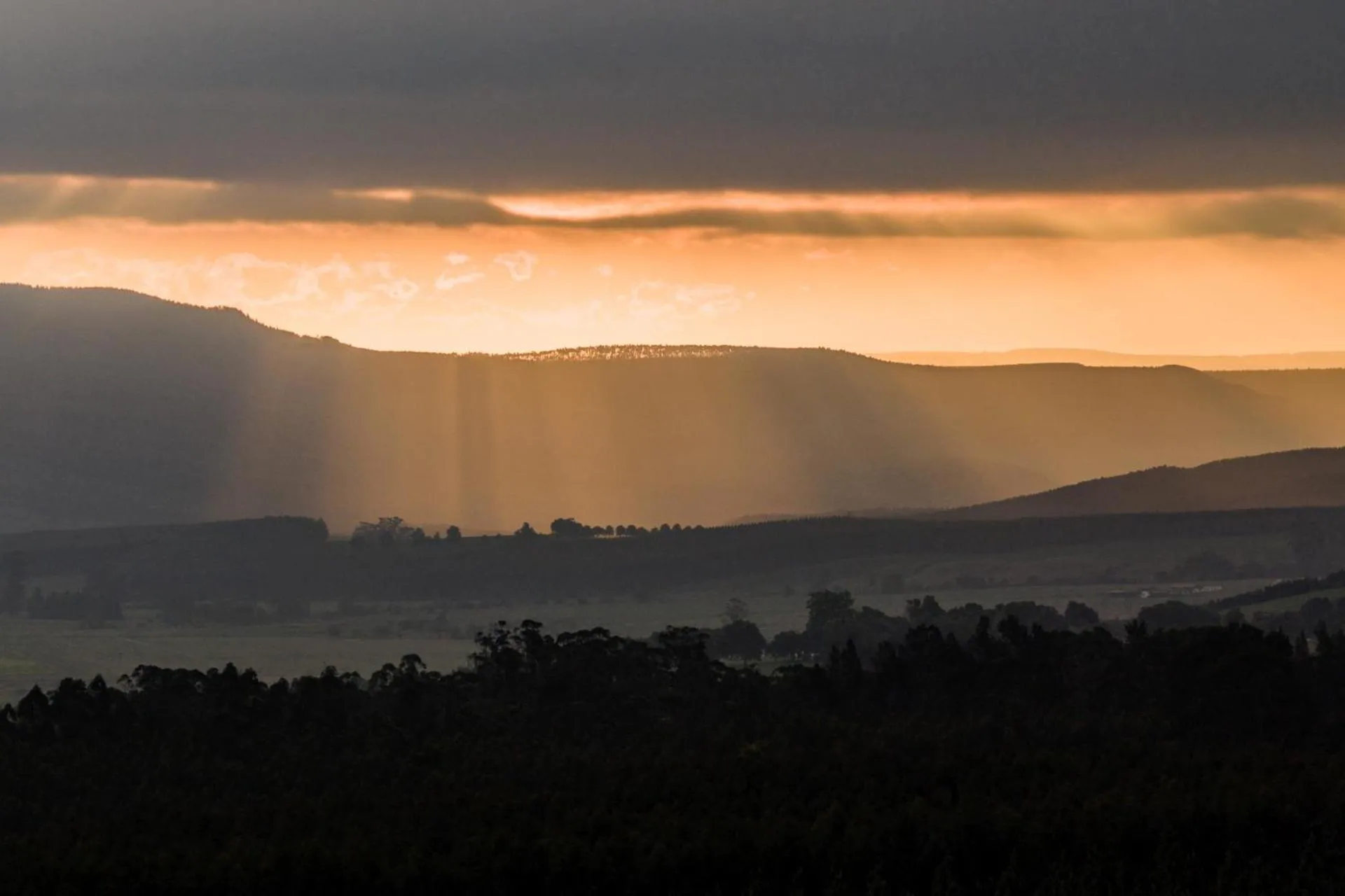 Natural landscape in First Group Midlands Saddle and Trout