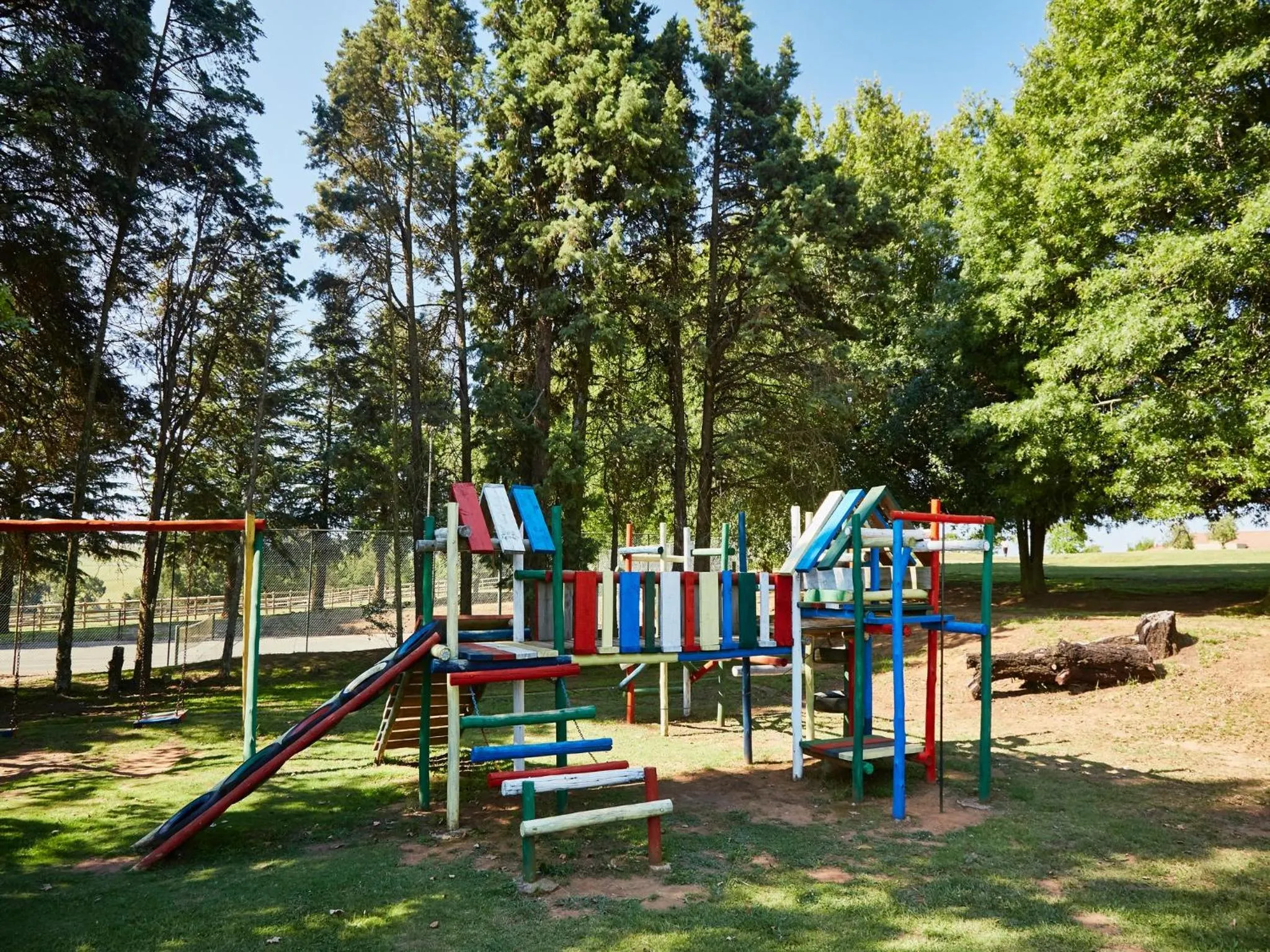 Day in First Group Midlands Saddle and Trout