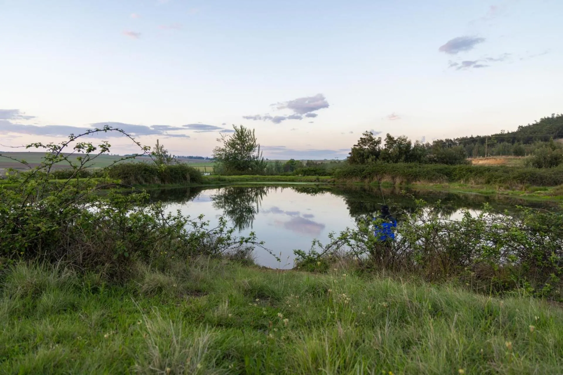 Day in First Group Midlands Saddle and Trout