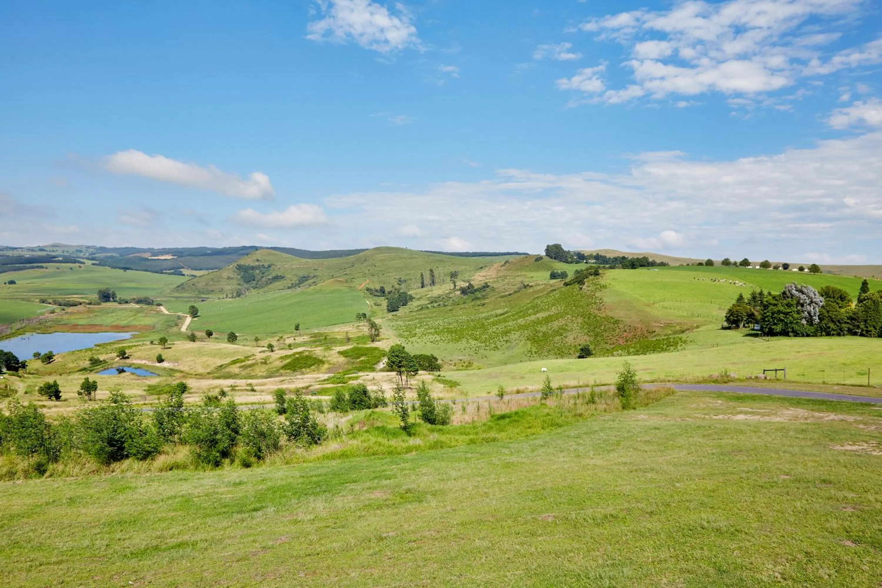 Lake view in First Group Midlands Saddle and Trout