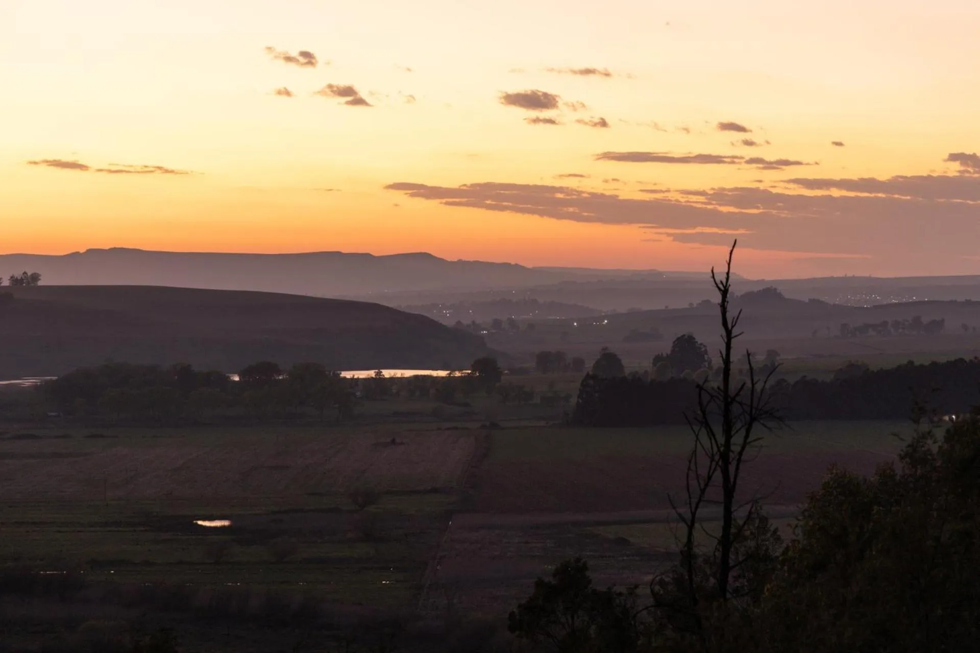 Day in First Group Midlands Saddle and Trout
