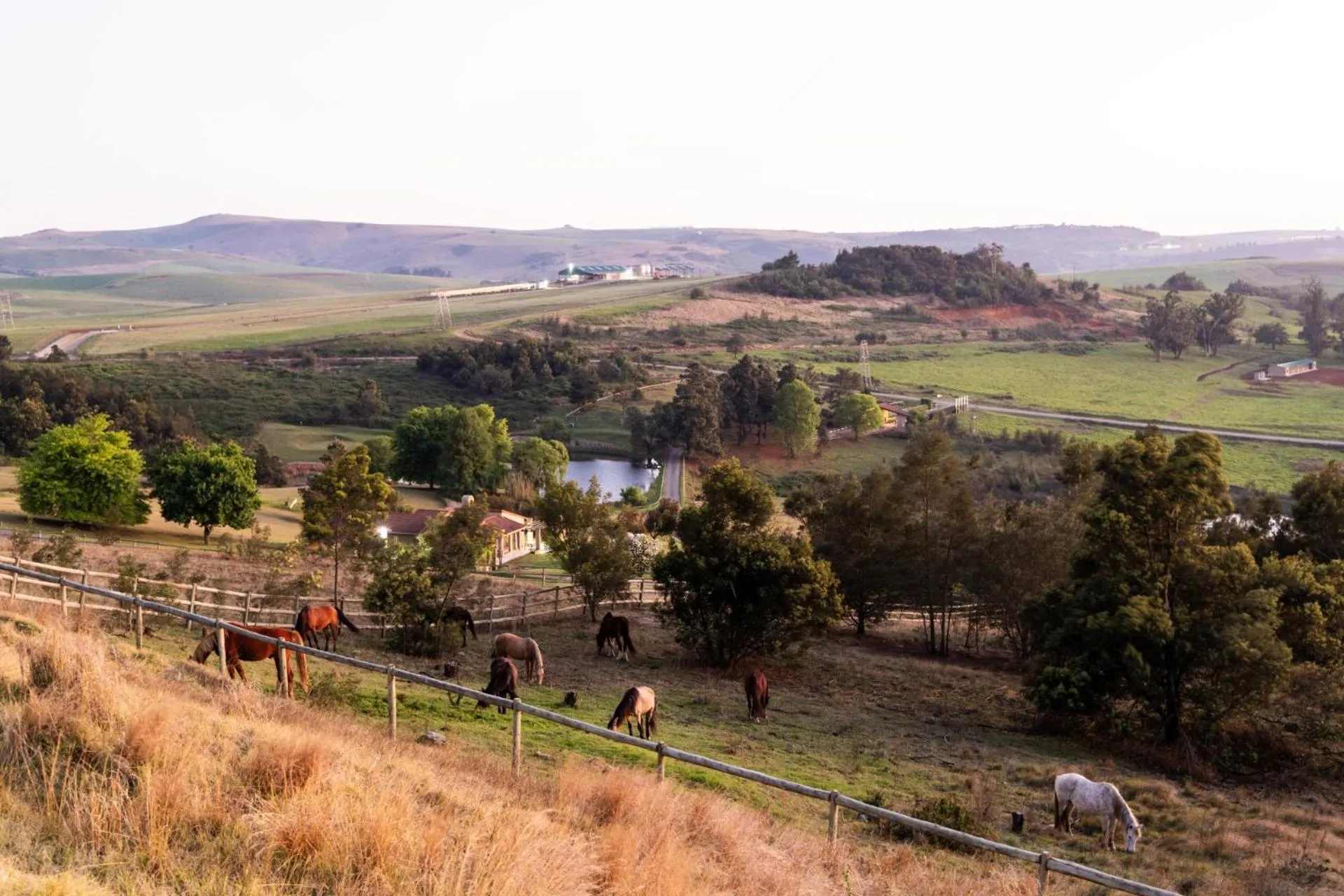 Day in First Group Midlands Saddle and Trout