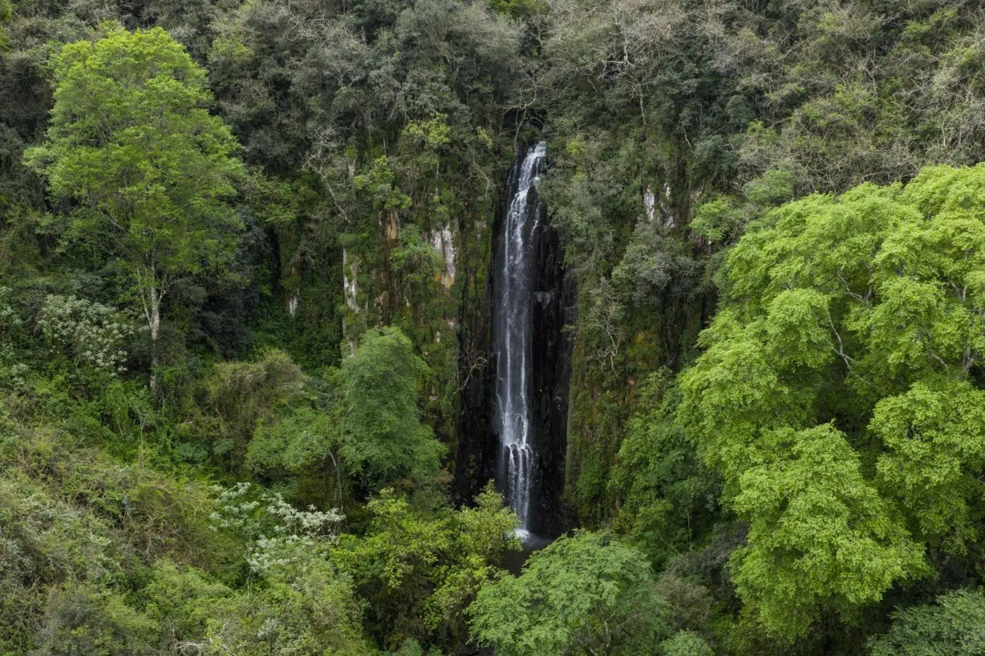 Spring in First Group Midlands Saddle and Trout