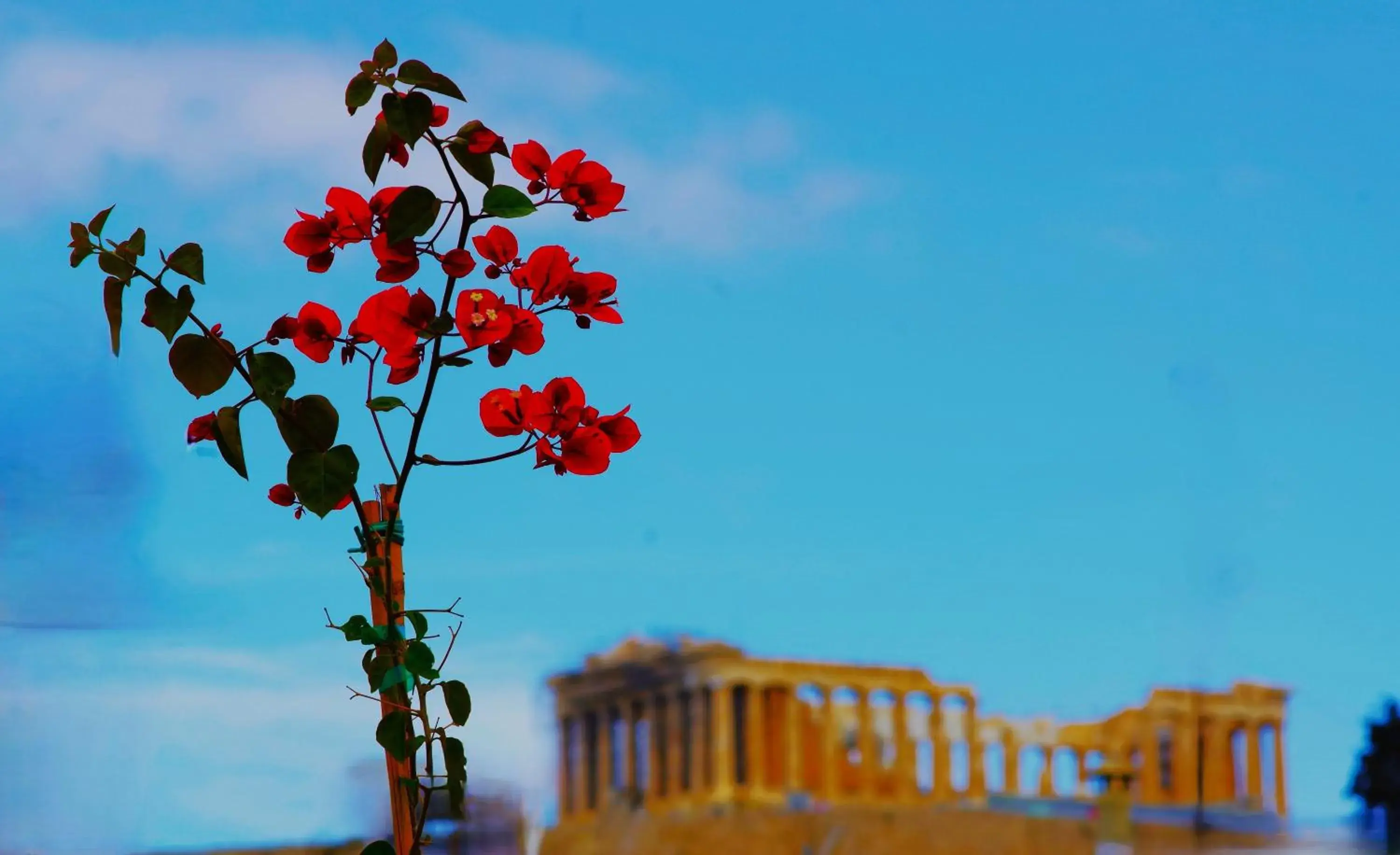 Absolute Athens Acropolis View Absolute Athens Acropolis View