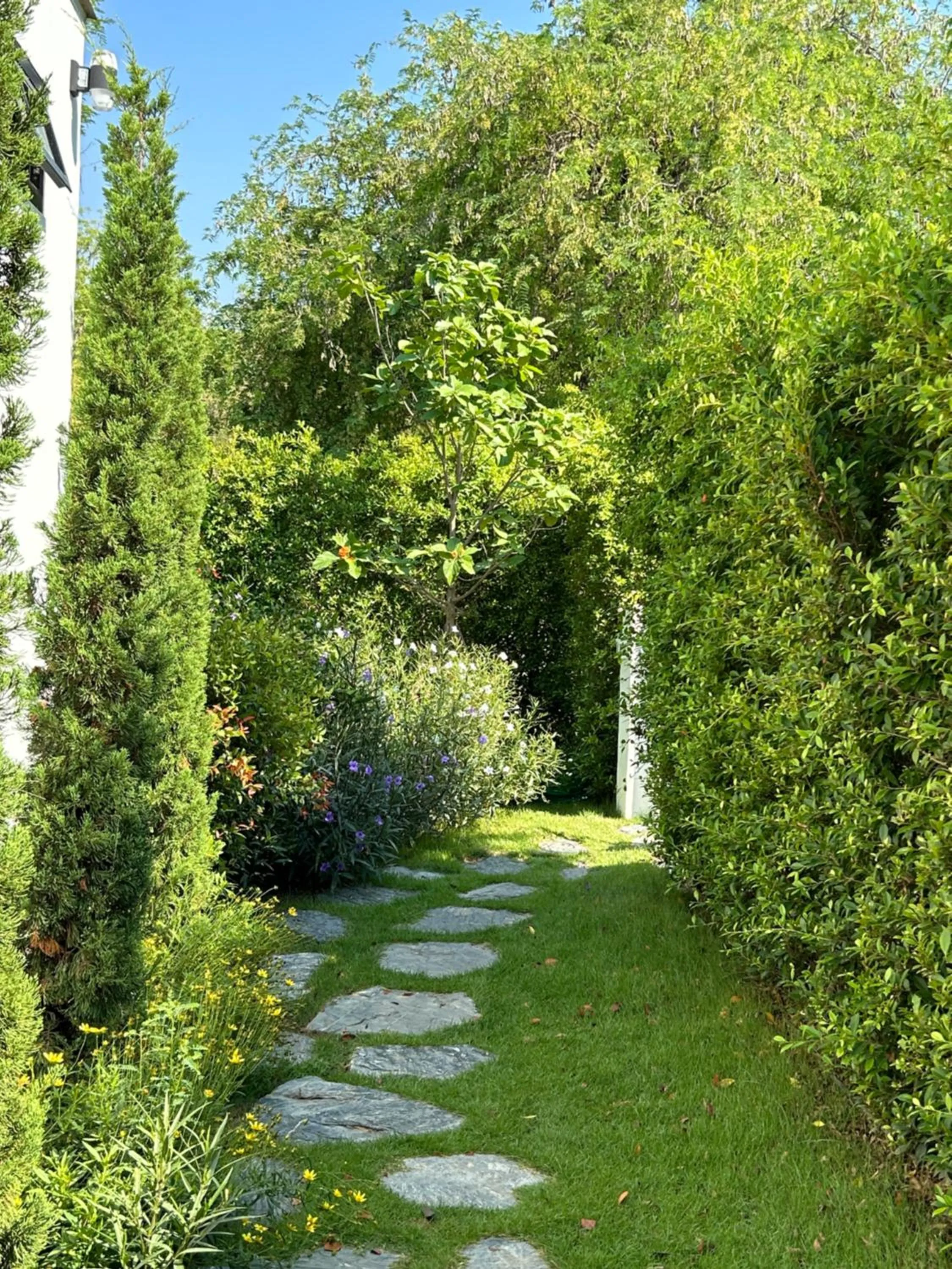 Garden in Rakmak Kan Resort & Cafe