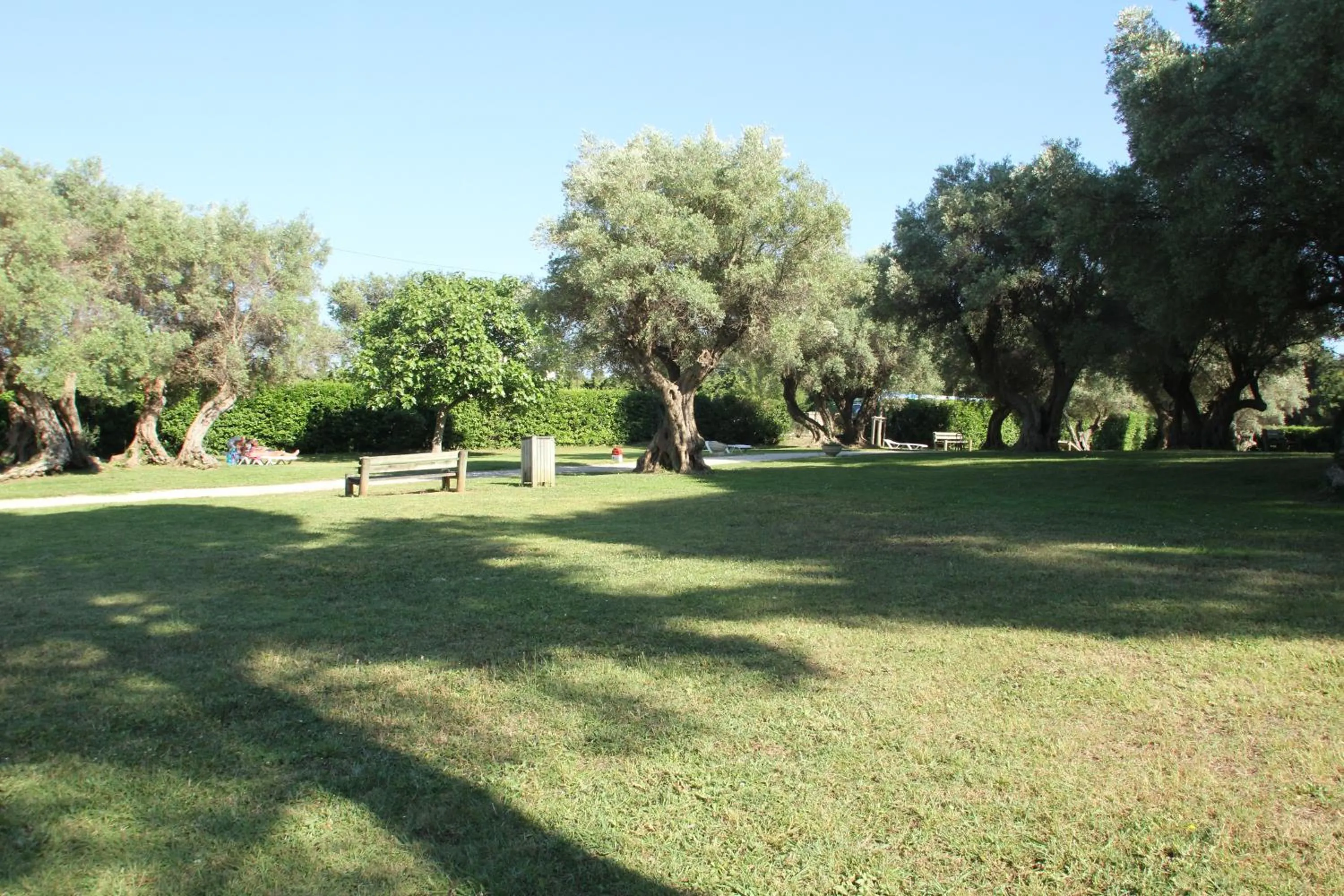 Garden in Hôtel Club la Font des Horts
