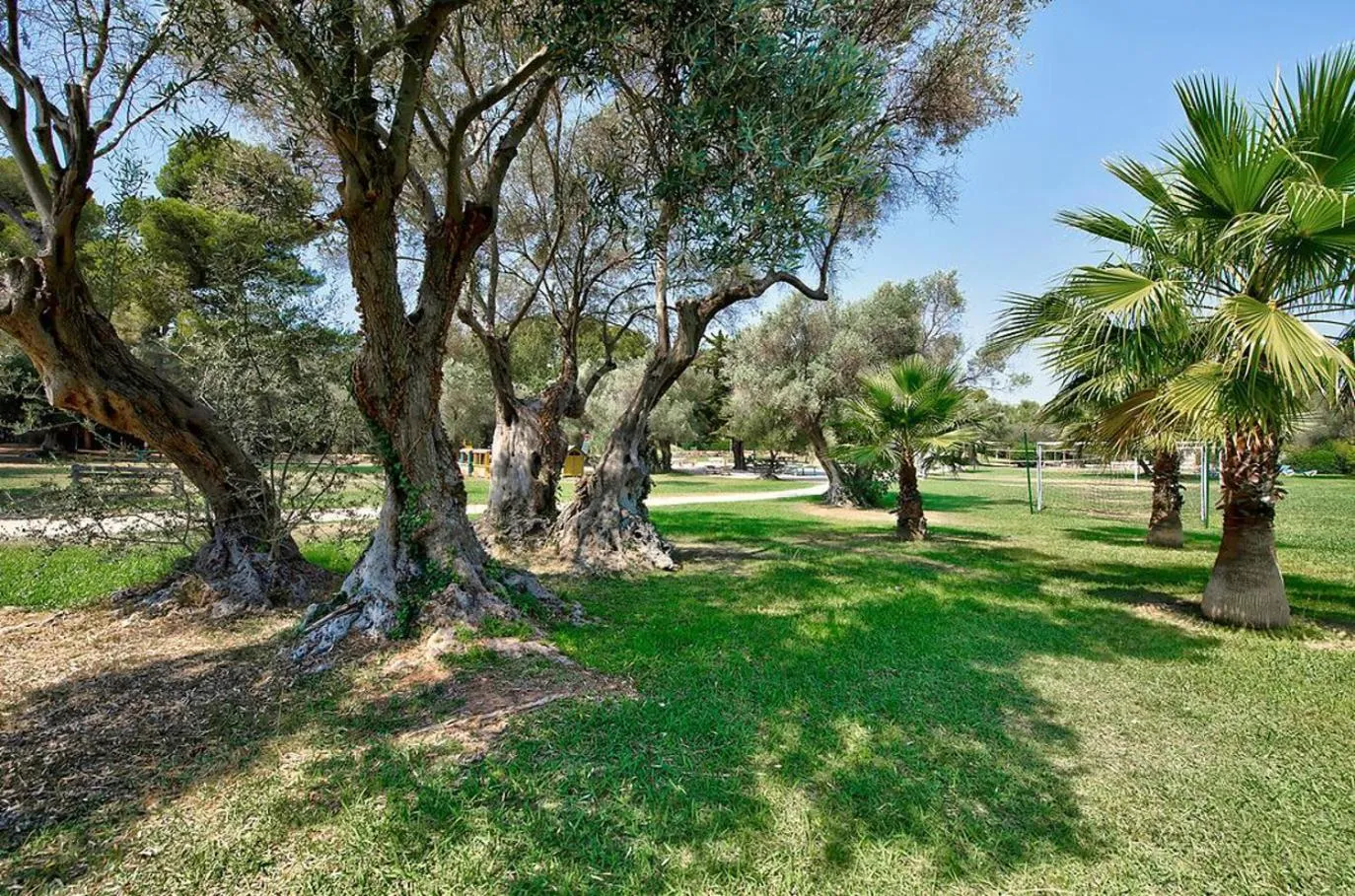Garden in Hôtel Club la Font des Horts