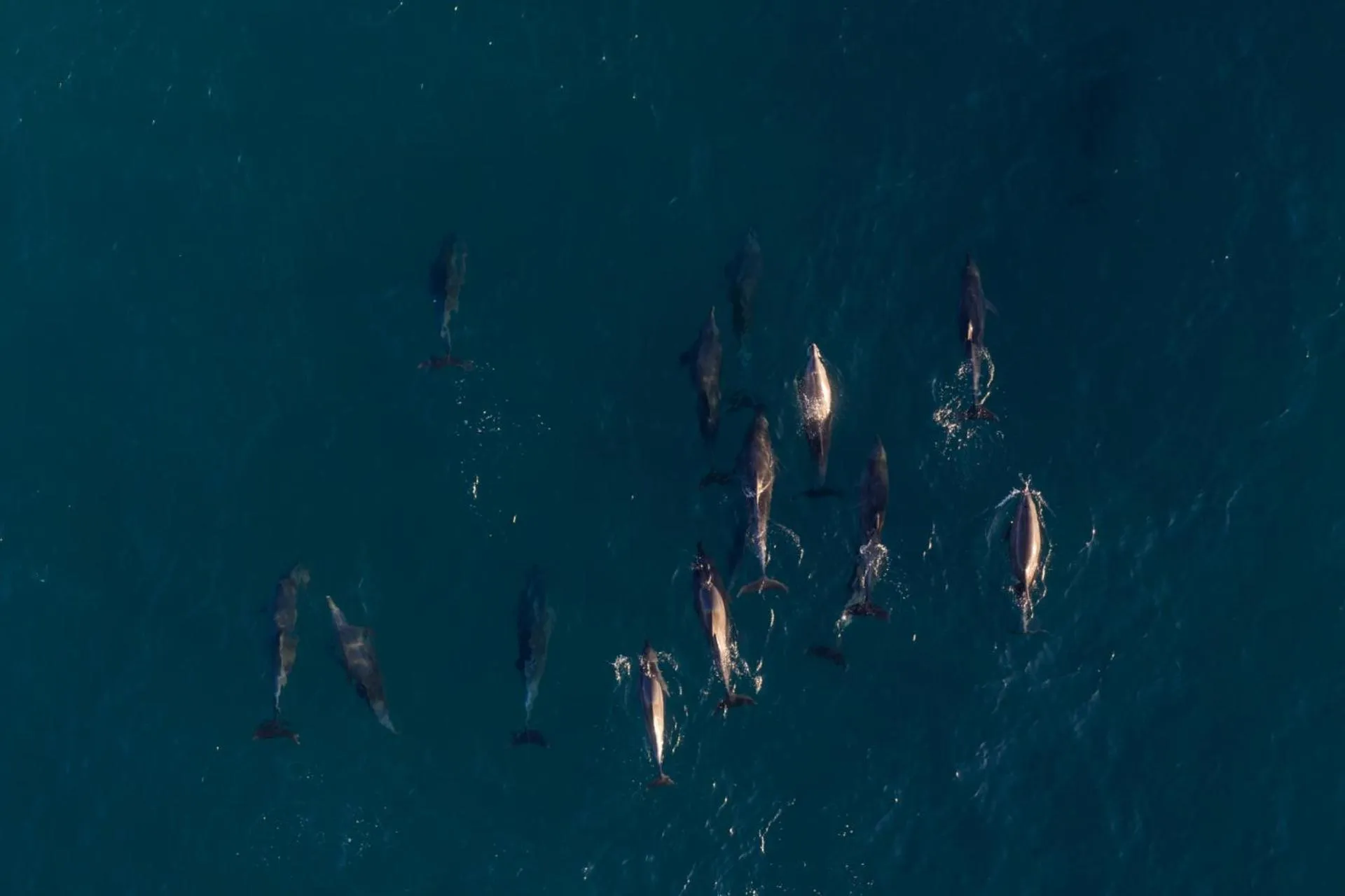 Natural landscape in First Group La Montagne